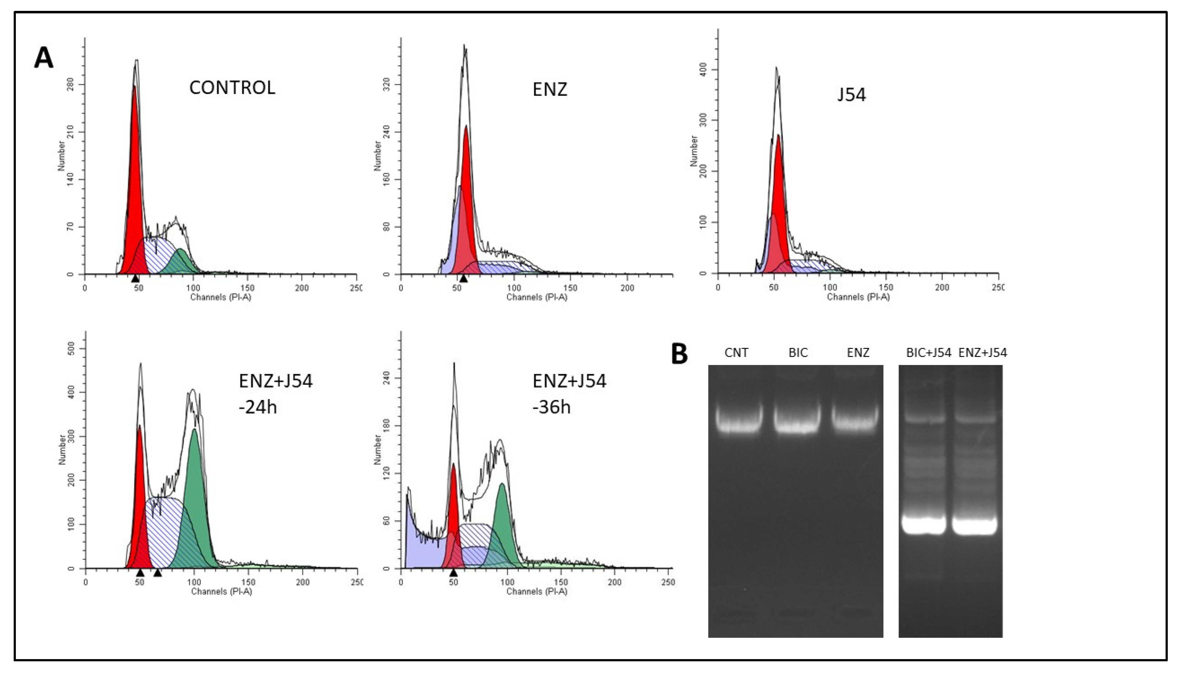 Preprints 77311 g003b