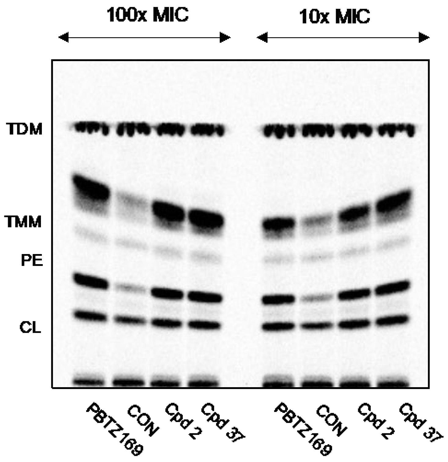 Preprints 75169 g003