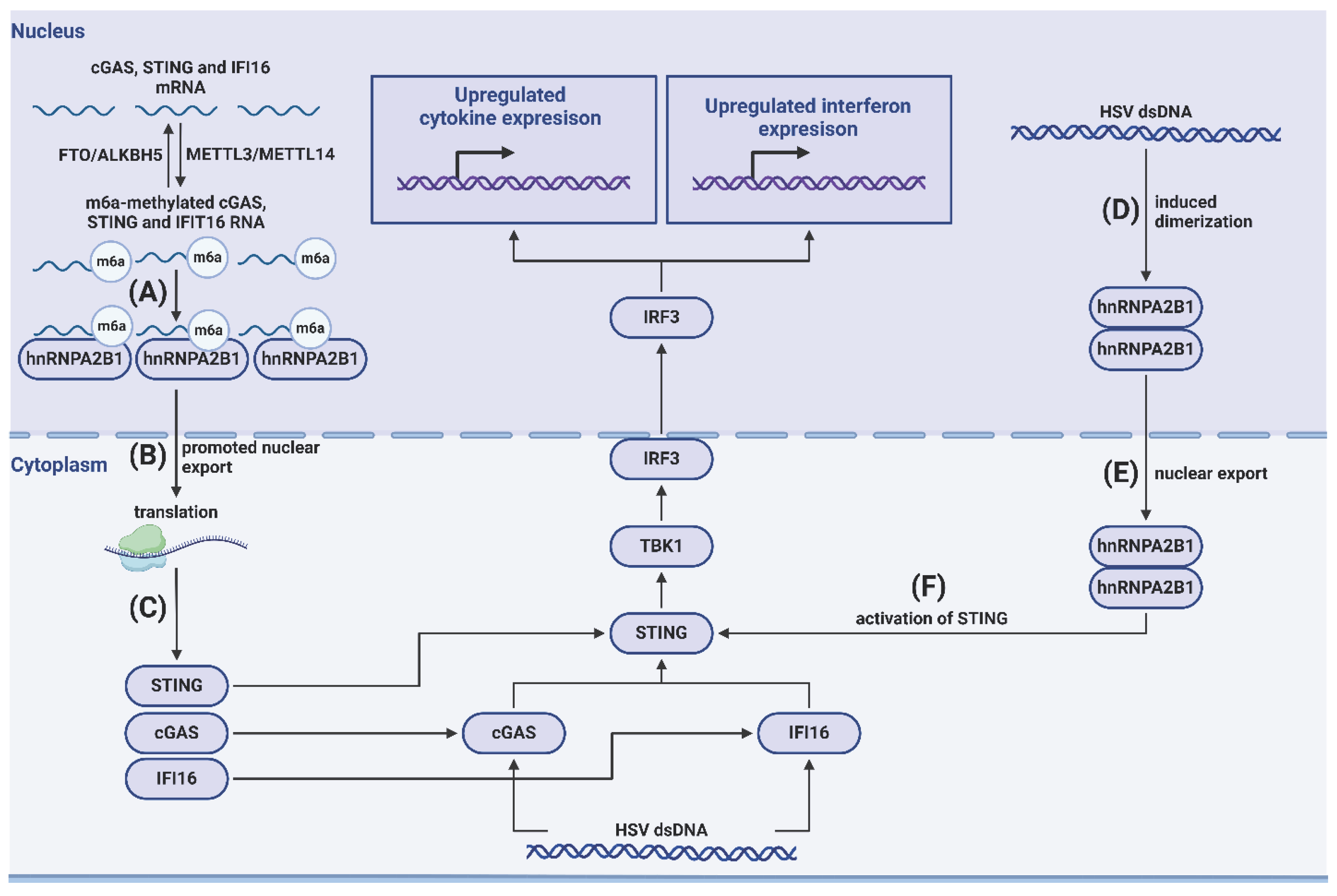 Preprints 101344 g001