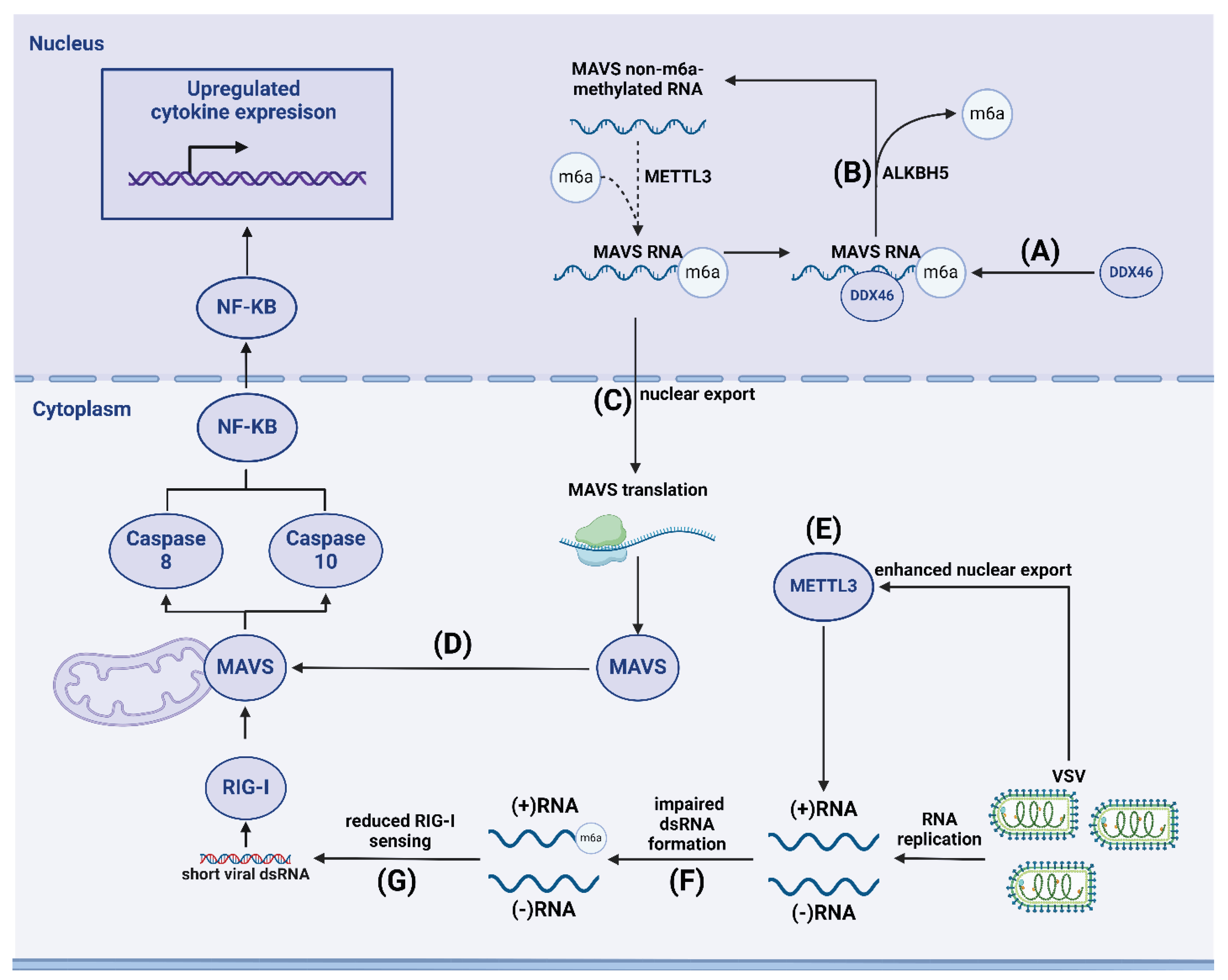 Preprints 101344 g002