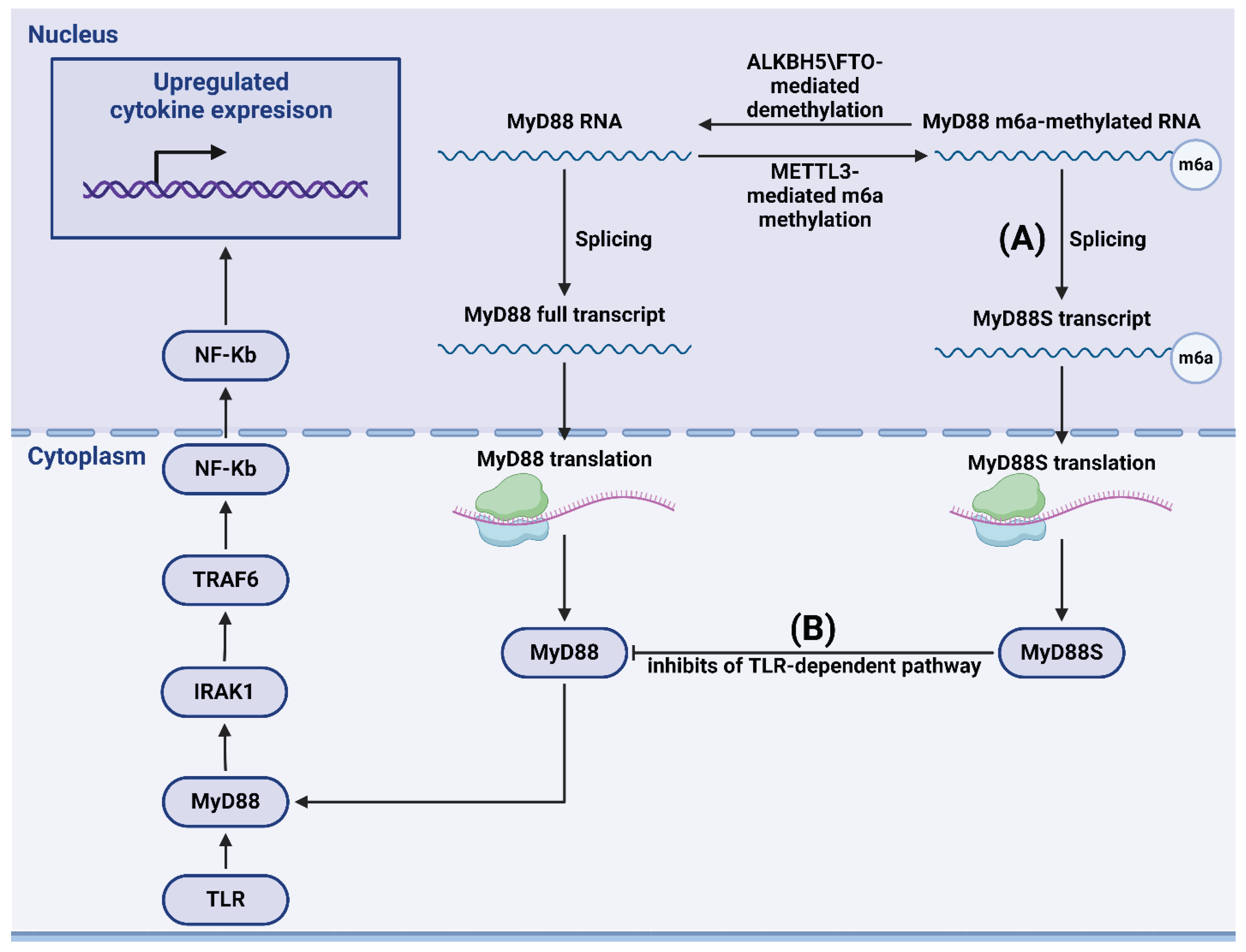 Preprints 101344 g003