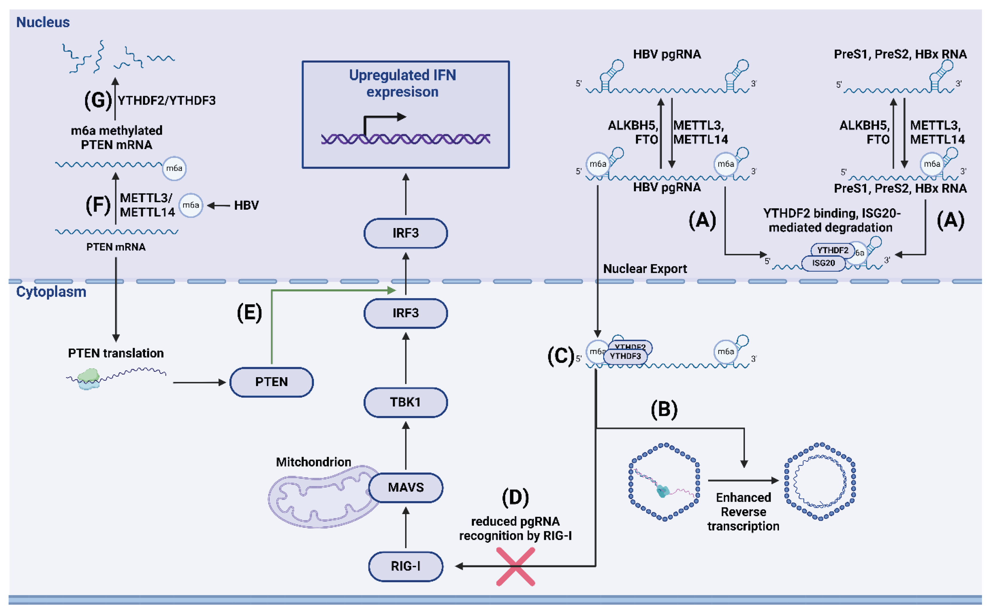 Preprints 101344 g004