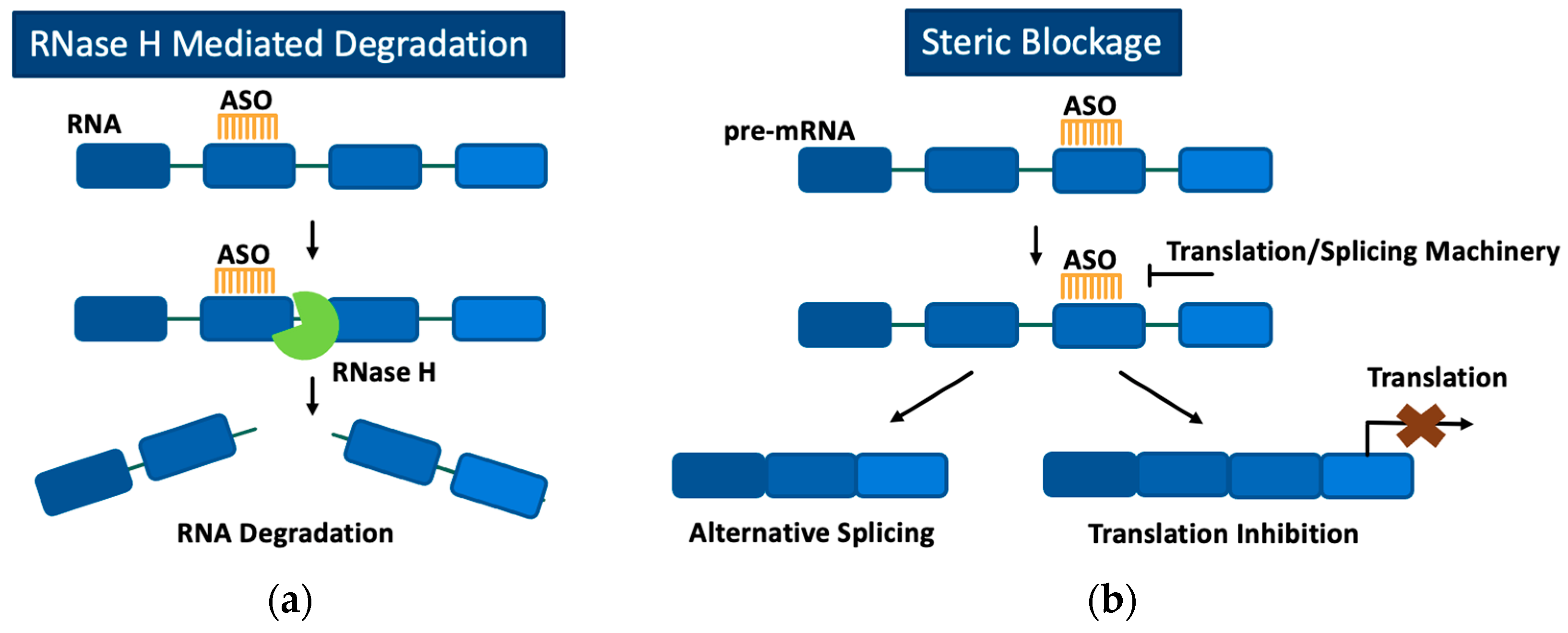 Preprints 105691 g001