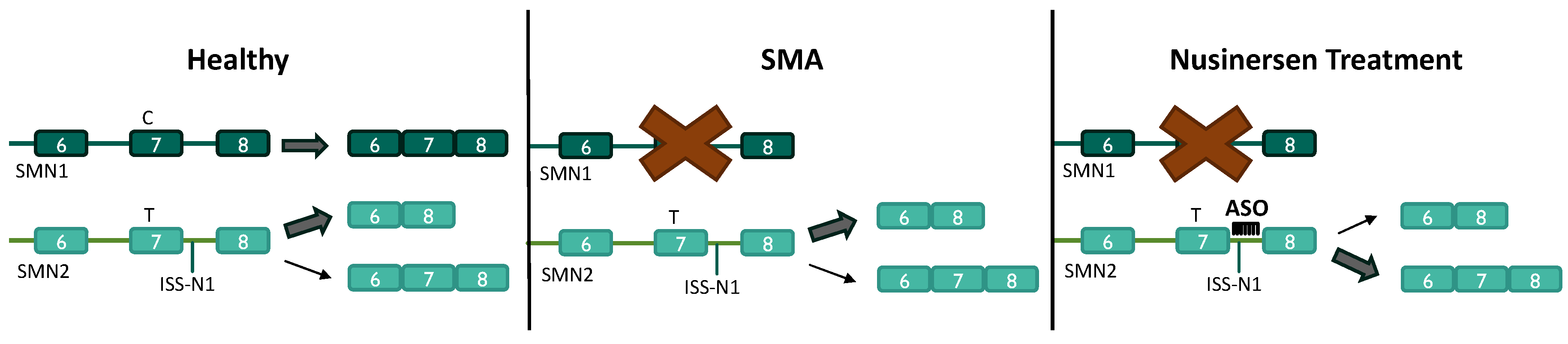 Preprints 105691 g002