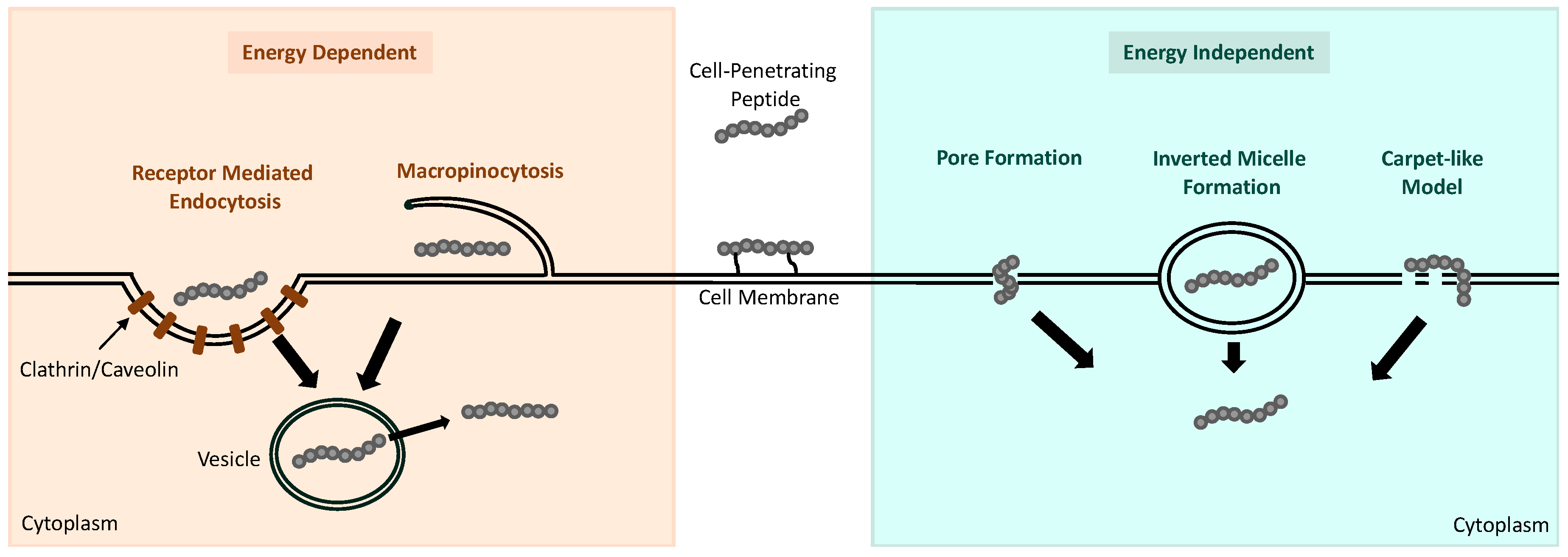 Preprints 105691 g003