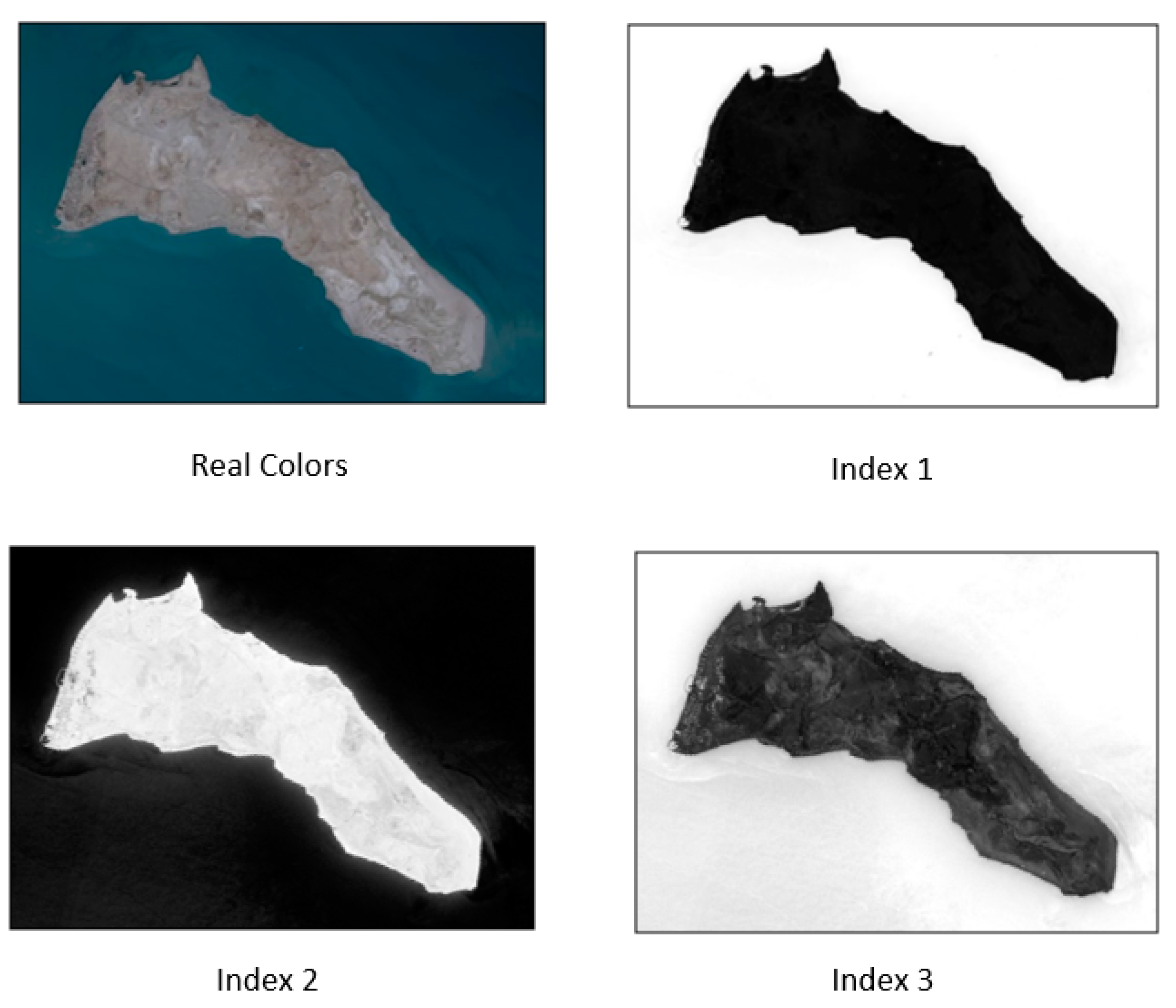 Preprints 108519 g007