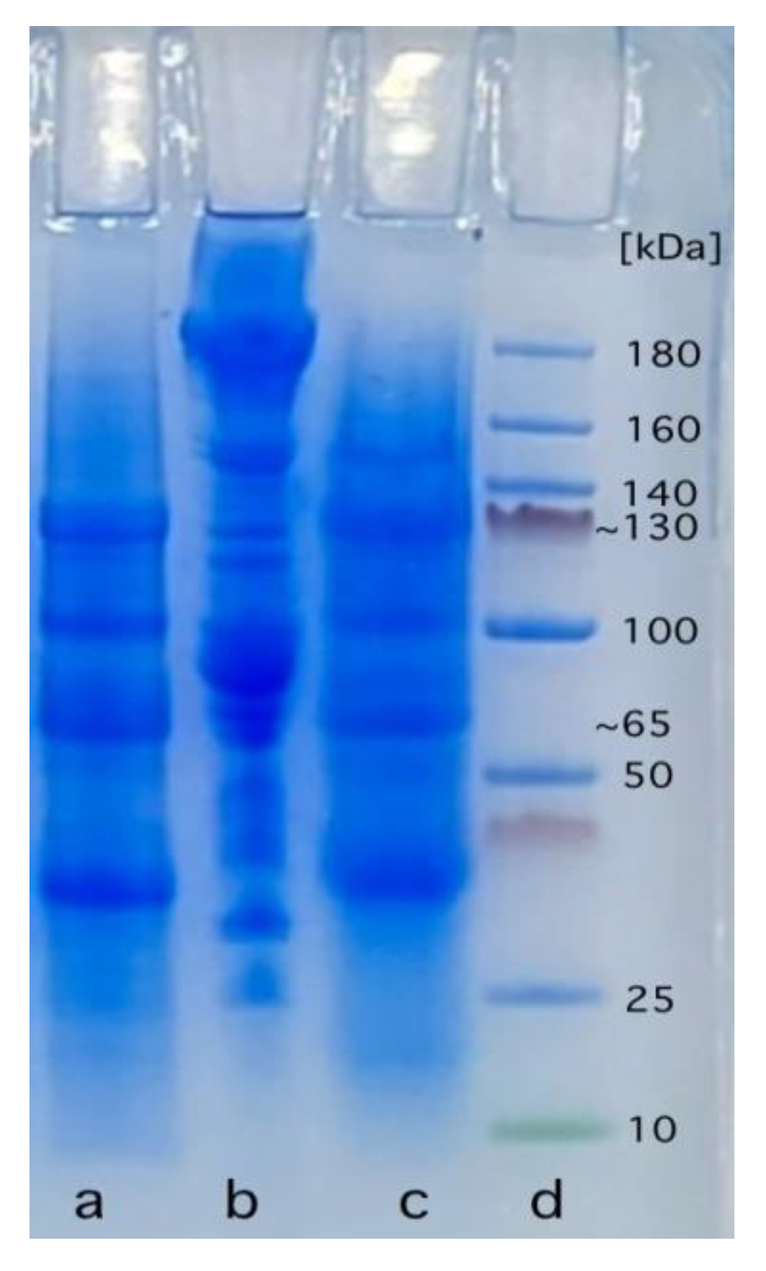 Preprints 72959 g004