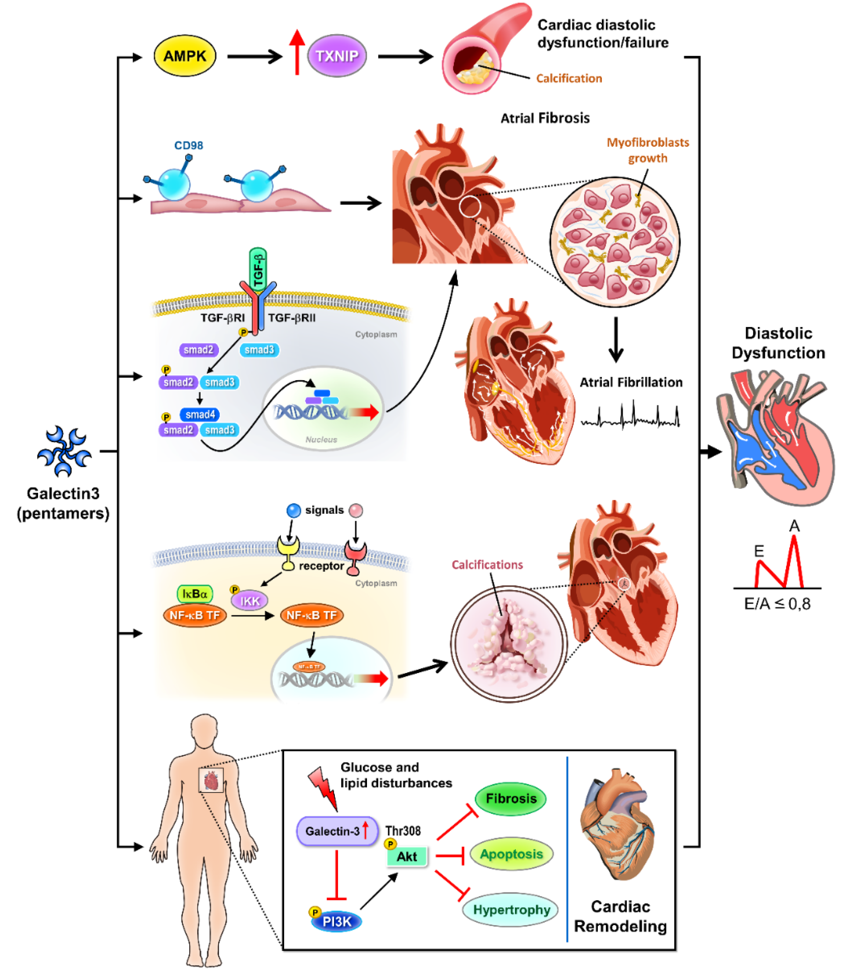 Preprints 110250 g001