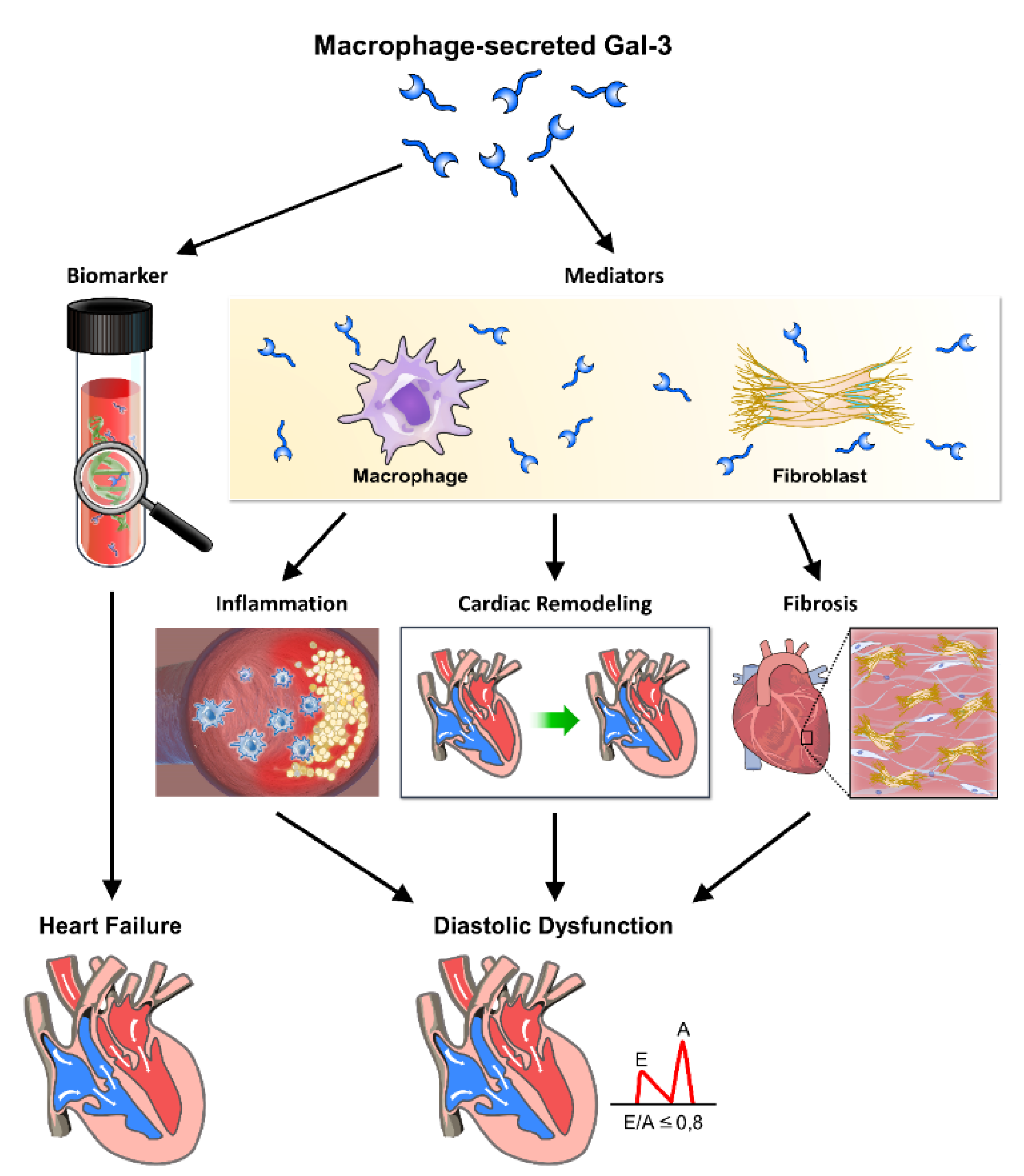 Preprints 110250 g003