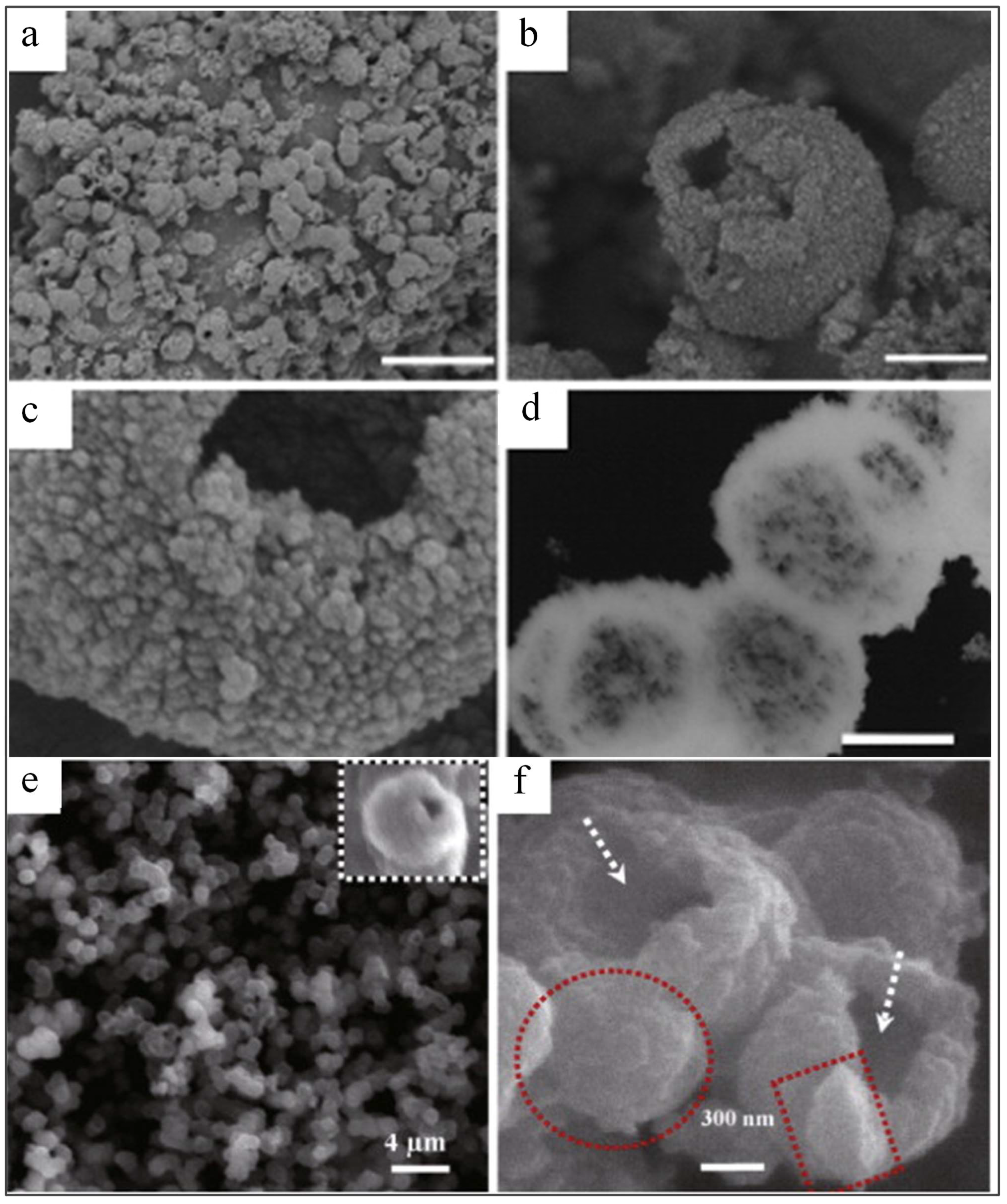 Preprints 116028 g007