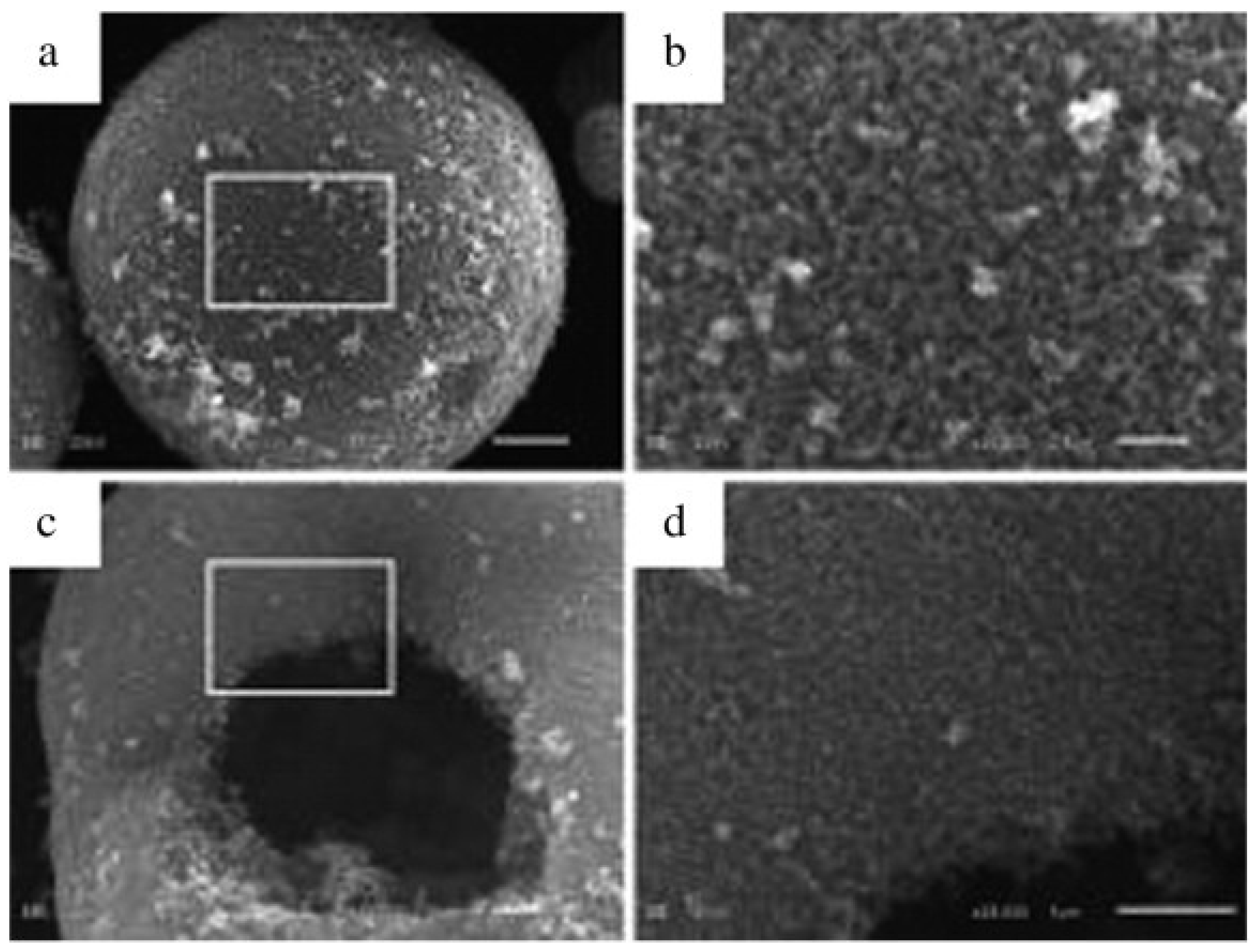 Preprints 116028 g009