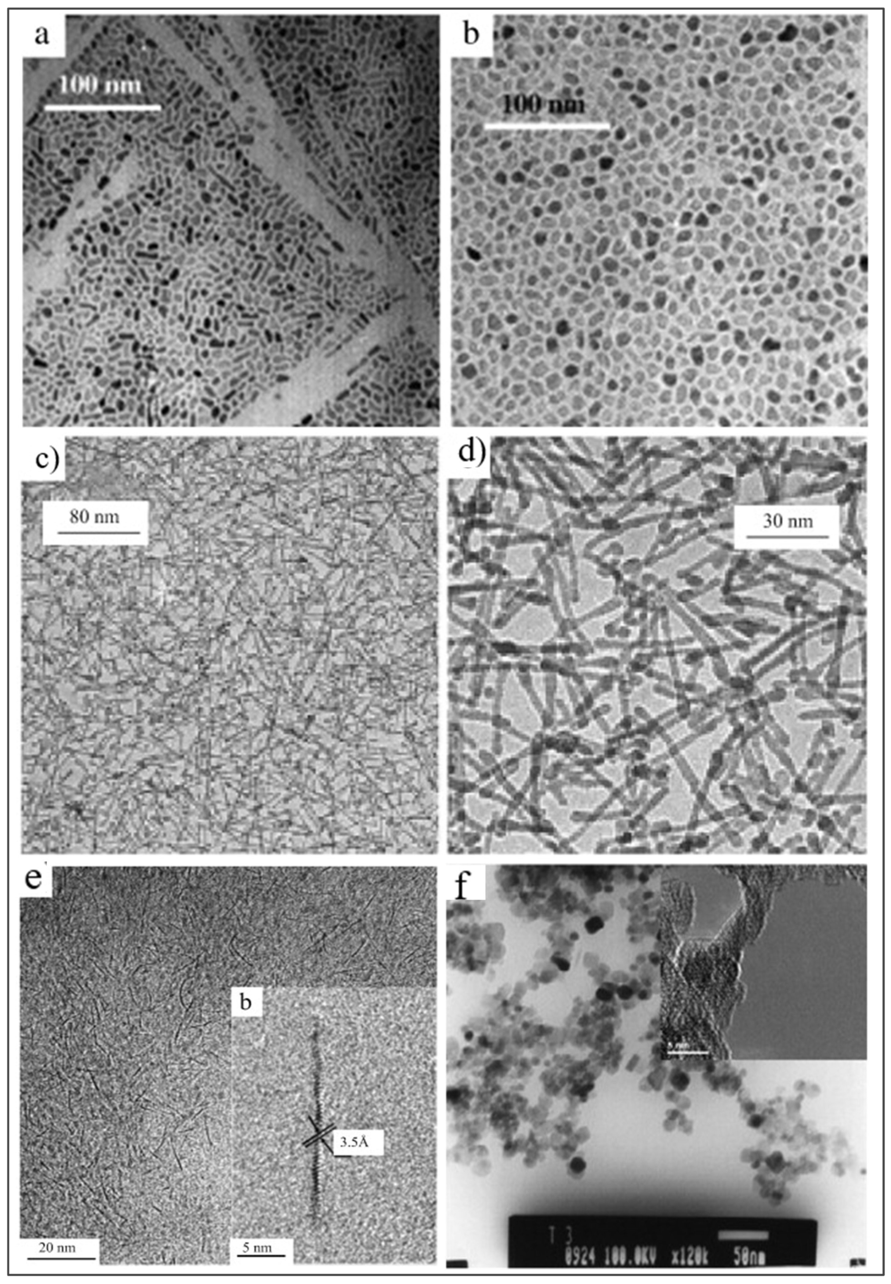 Preprints 116028 g010