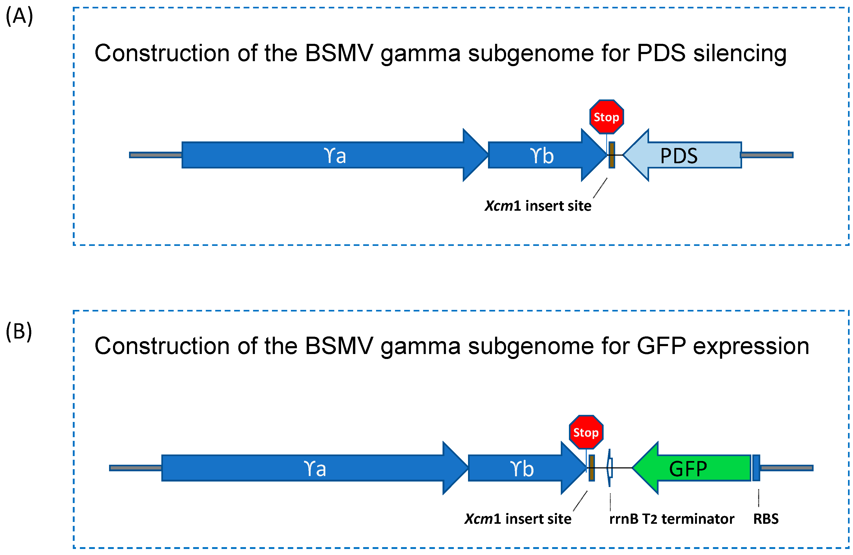 Preprints 112435 g001