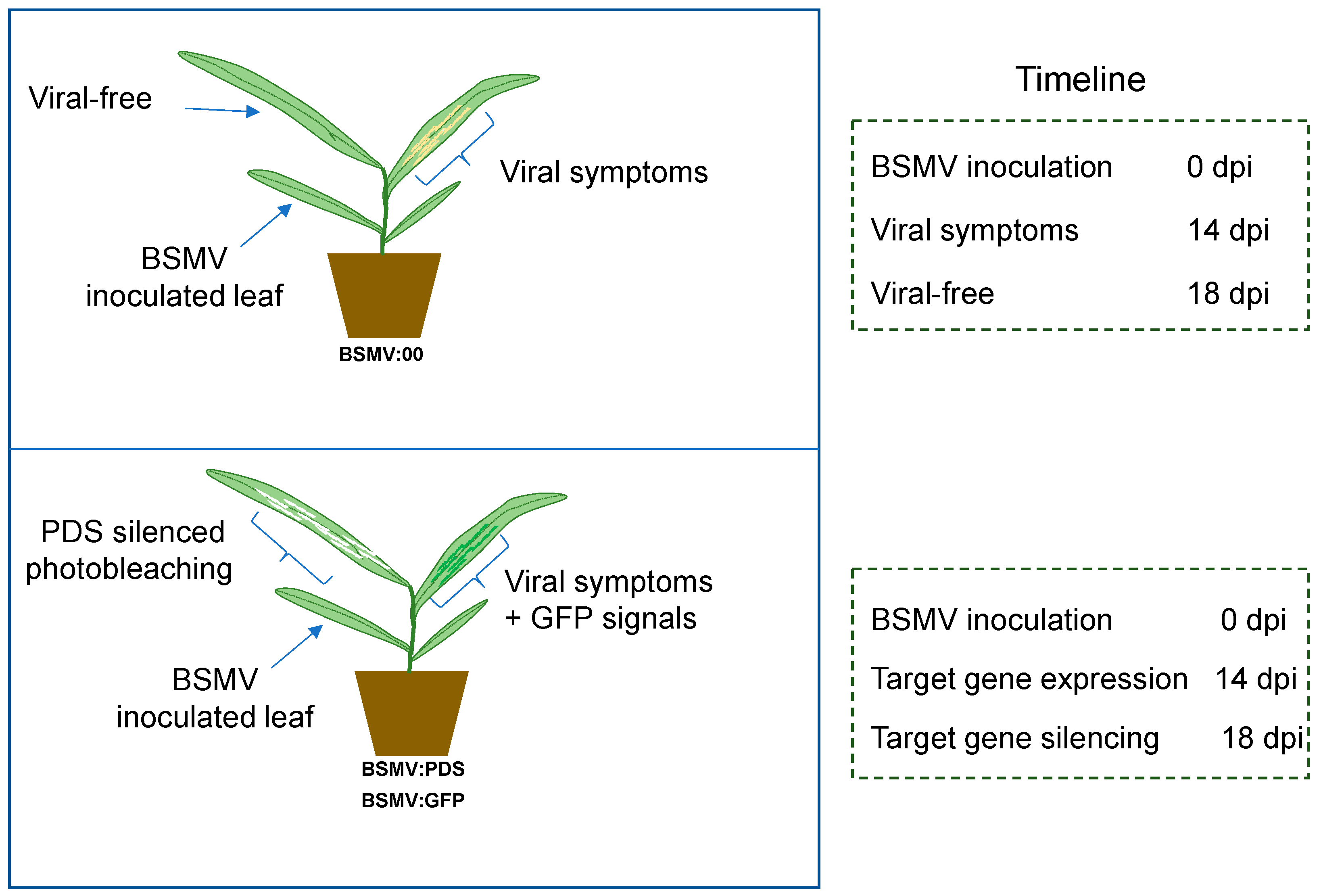 Preprints 112435 g007