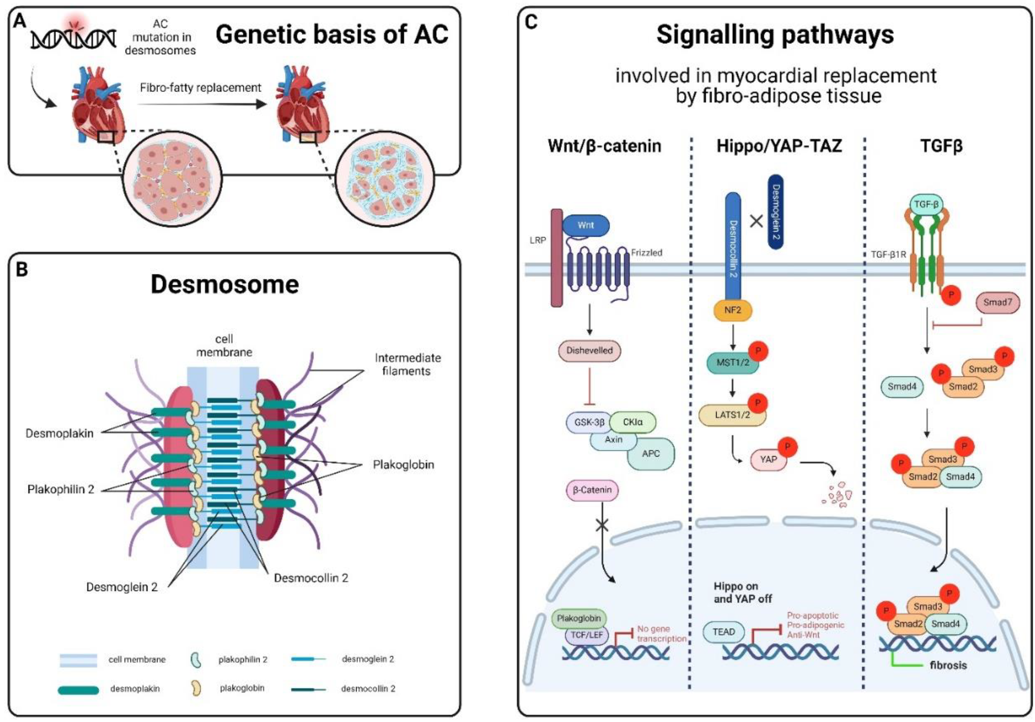 Preprints 110396 g002