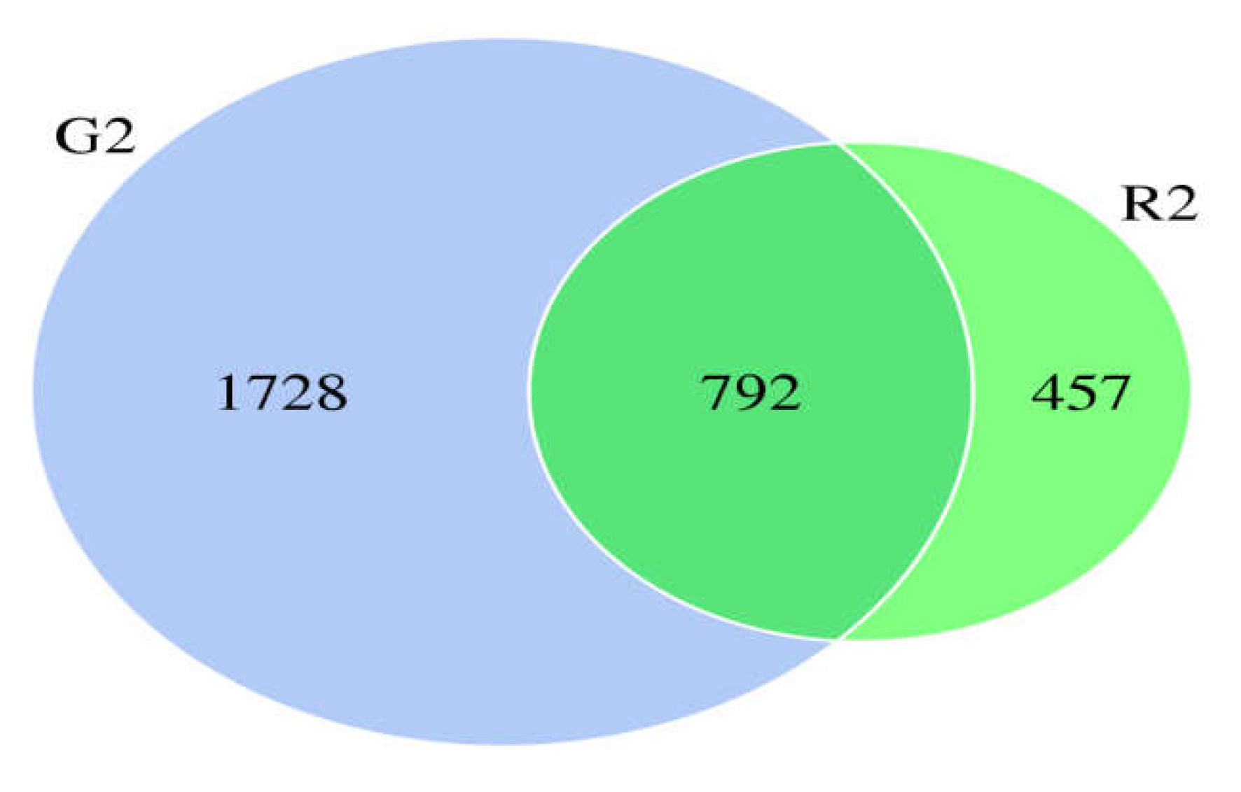 Preprints 70927 g001