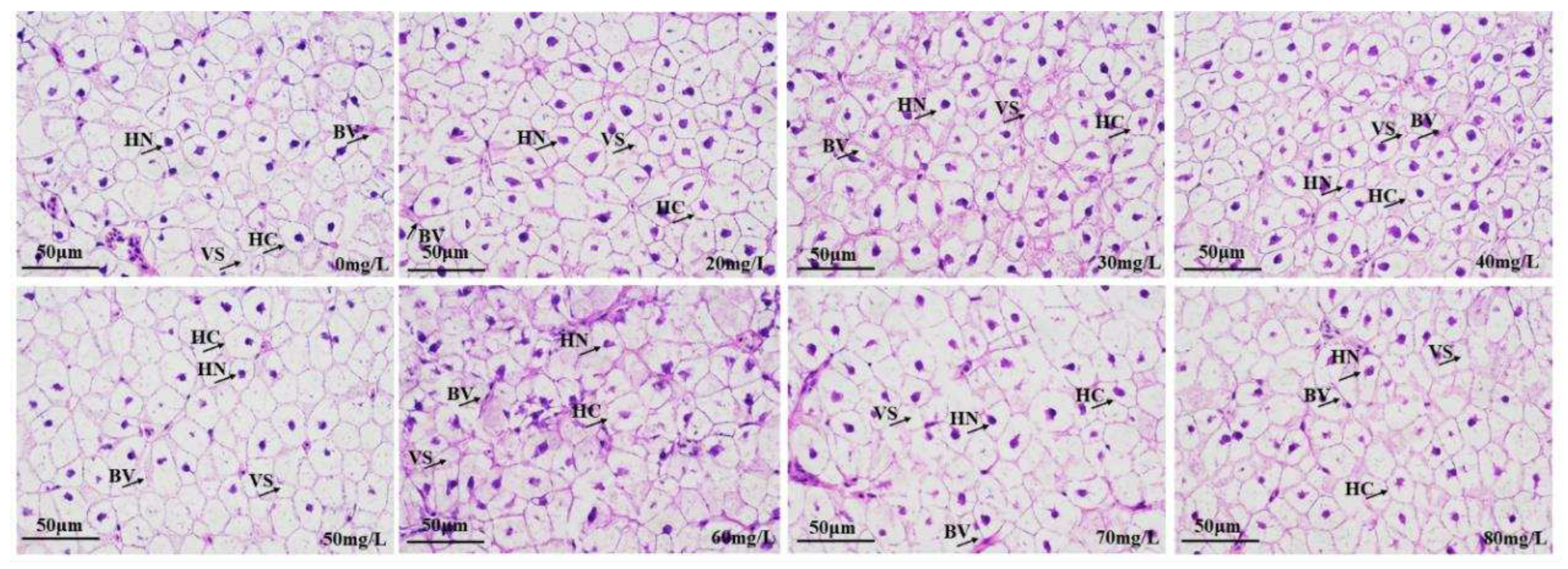 Preprints 78223 g007