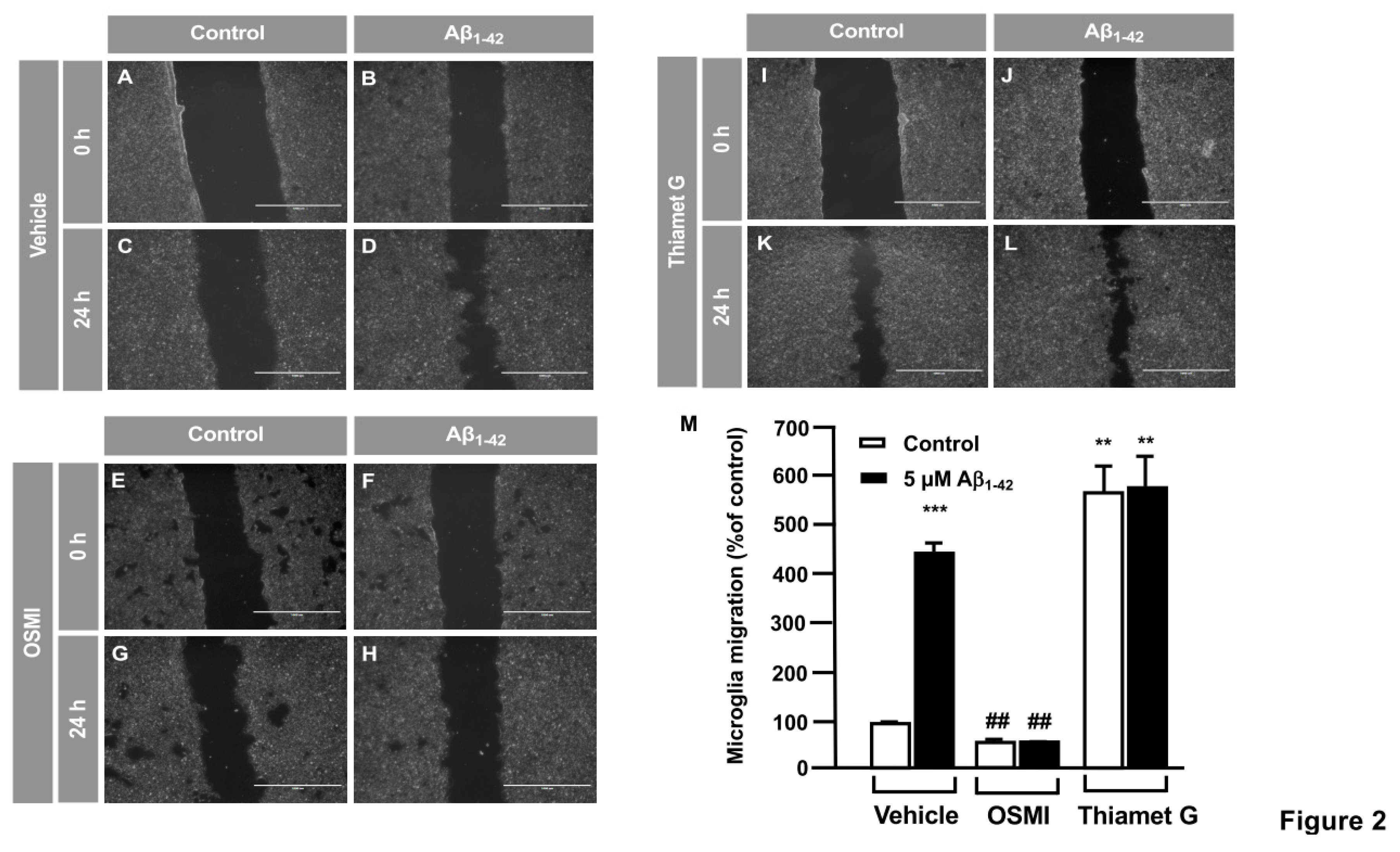 Preprints 74004 g002