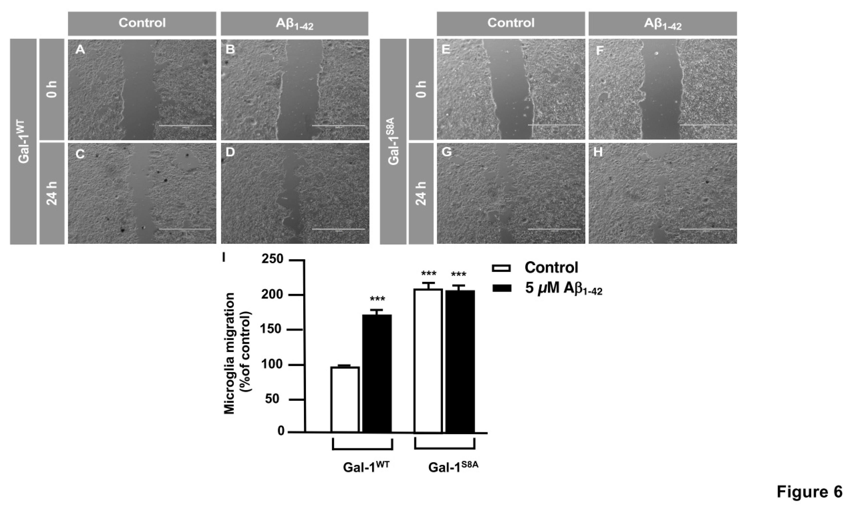 Preprints 74004 g006