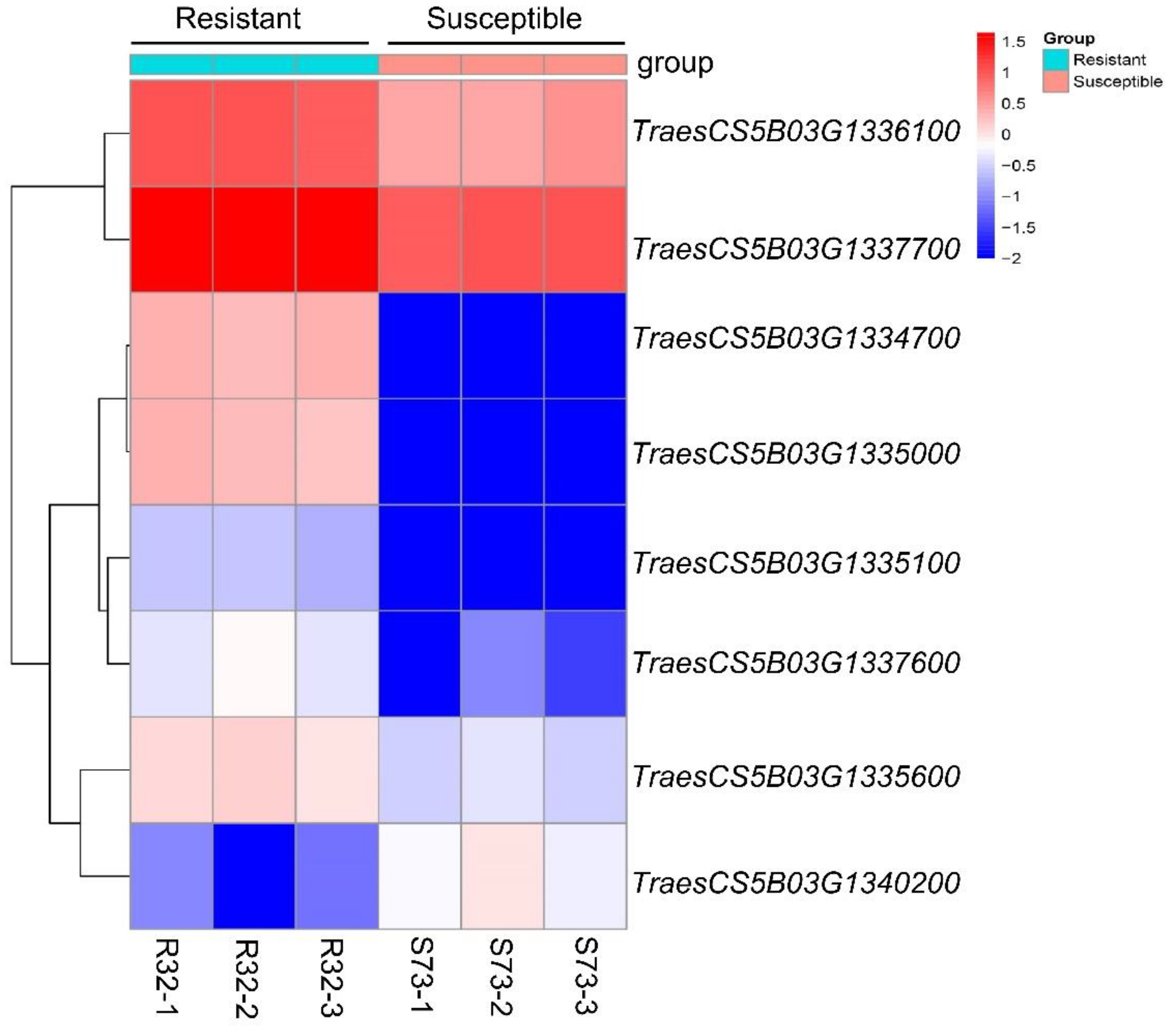 Preprints 111169 g005