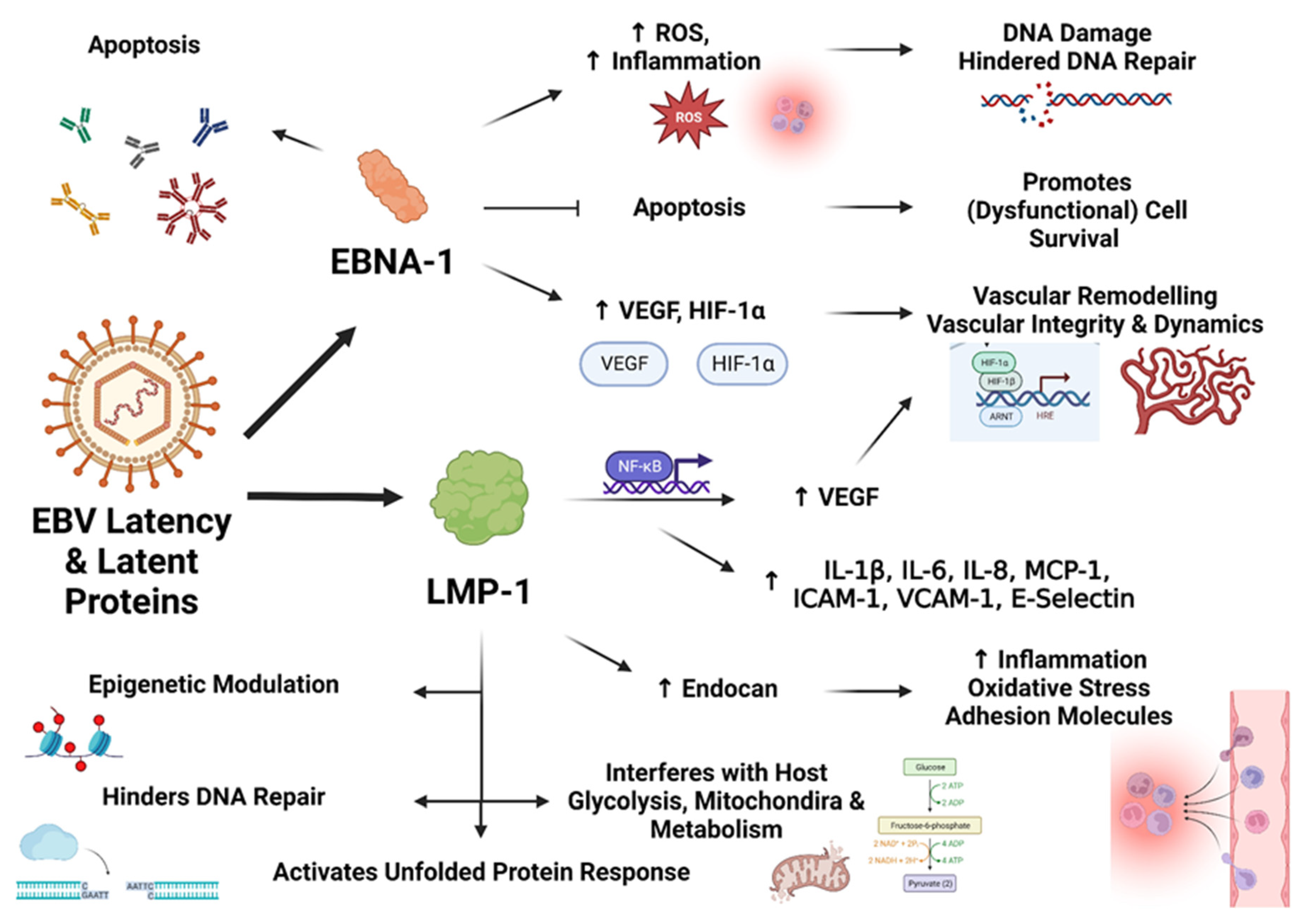 Preprints 96768 g003