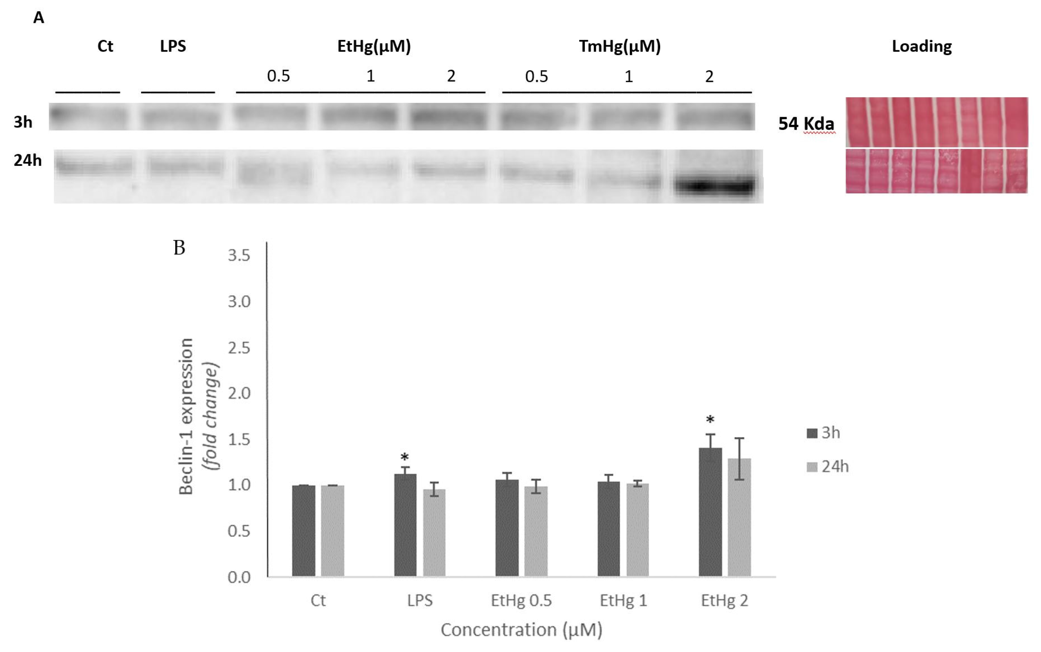 Preprints 82788 g003a