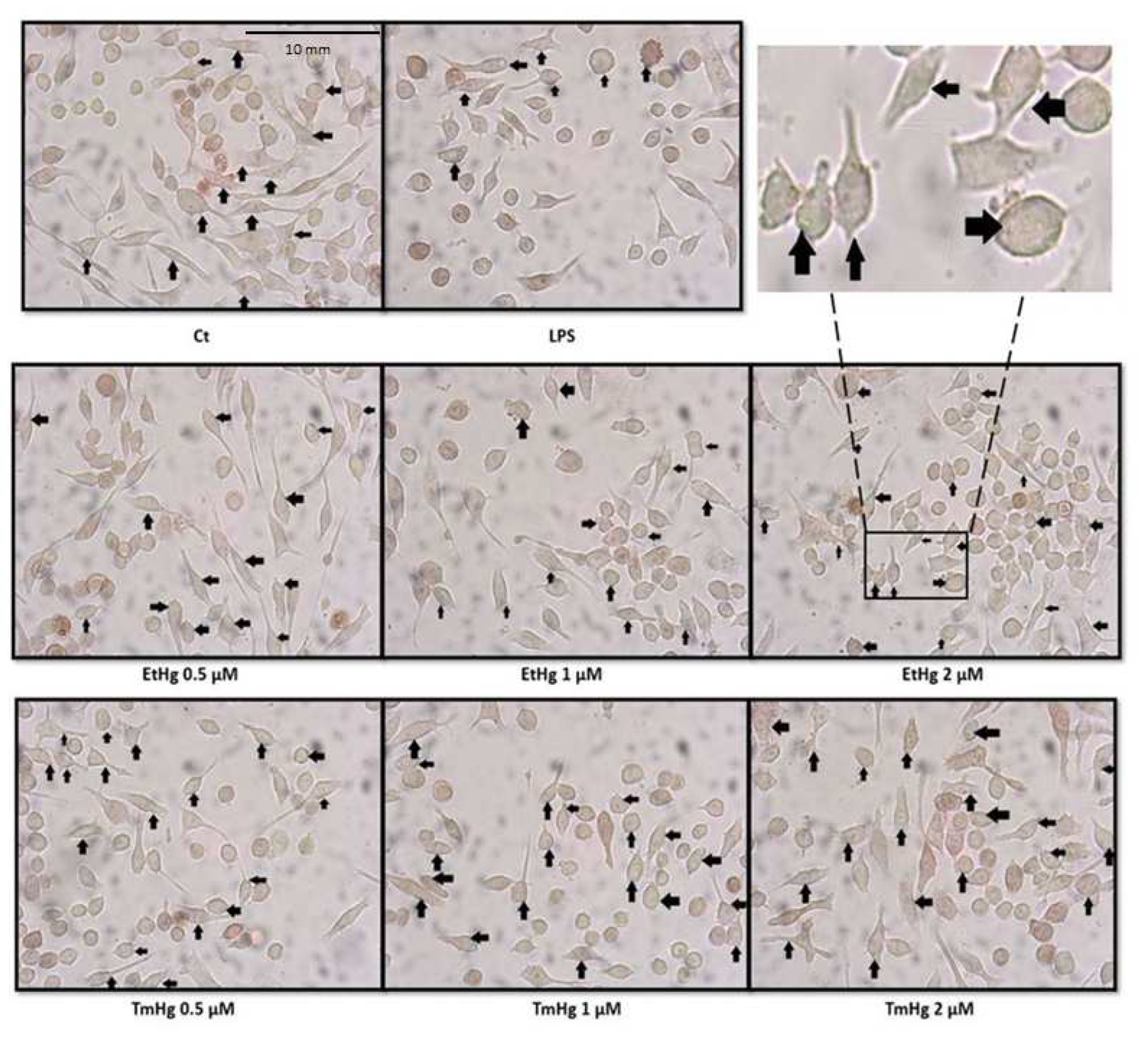 Preprints 82788 g004