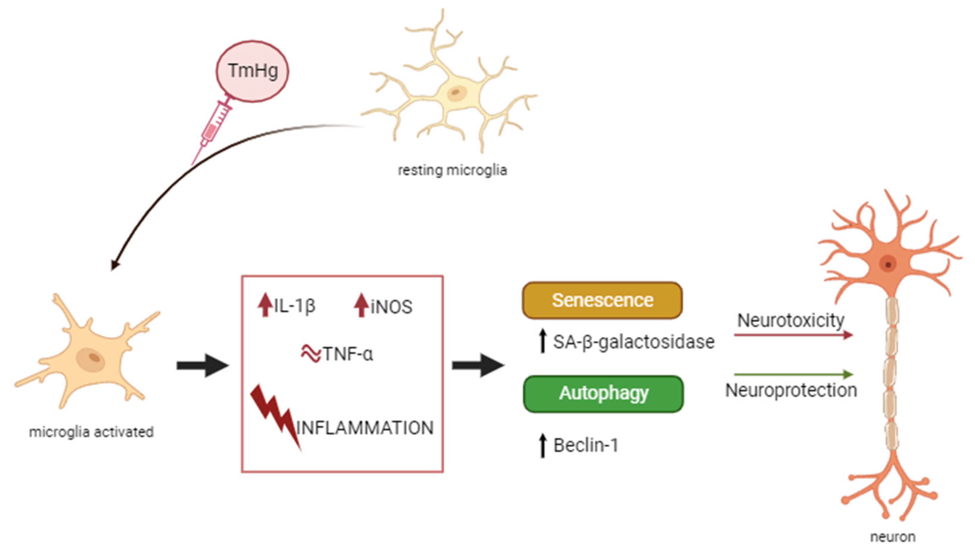 Preprints 82788 g006