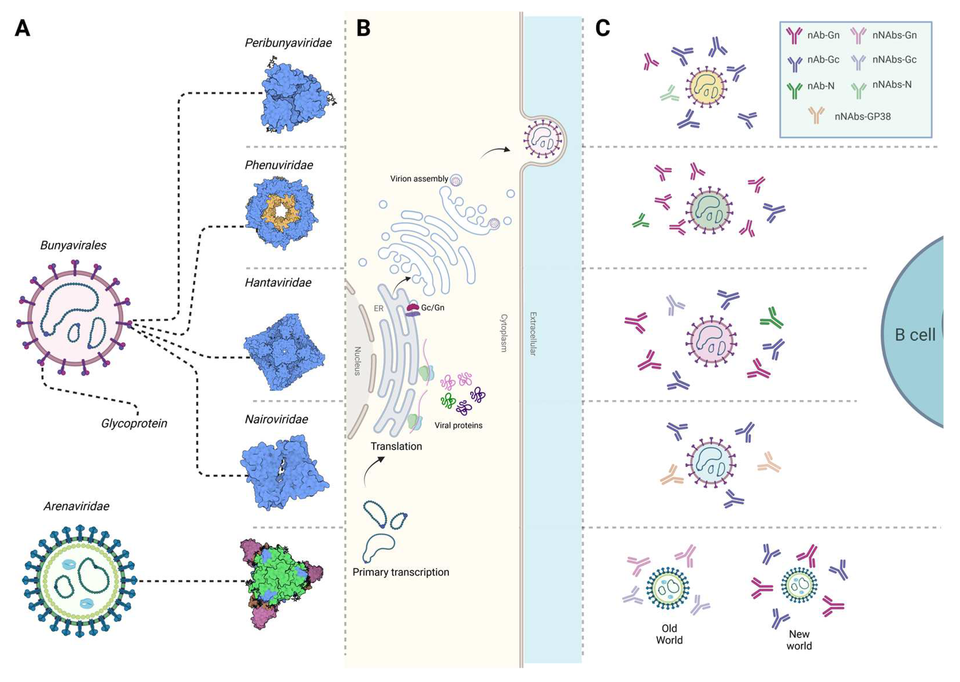 Preprints 98065 g001