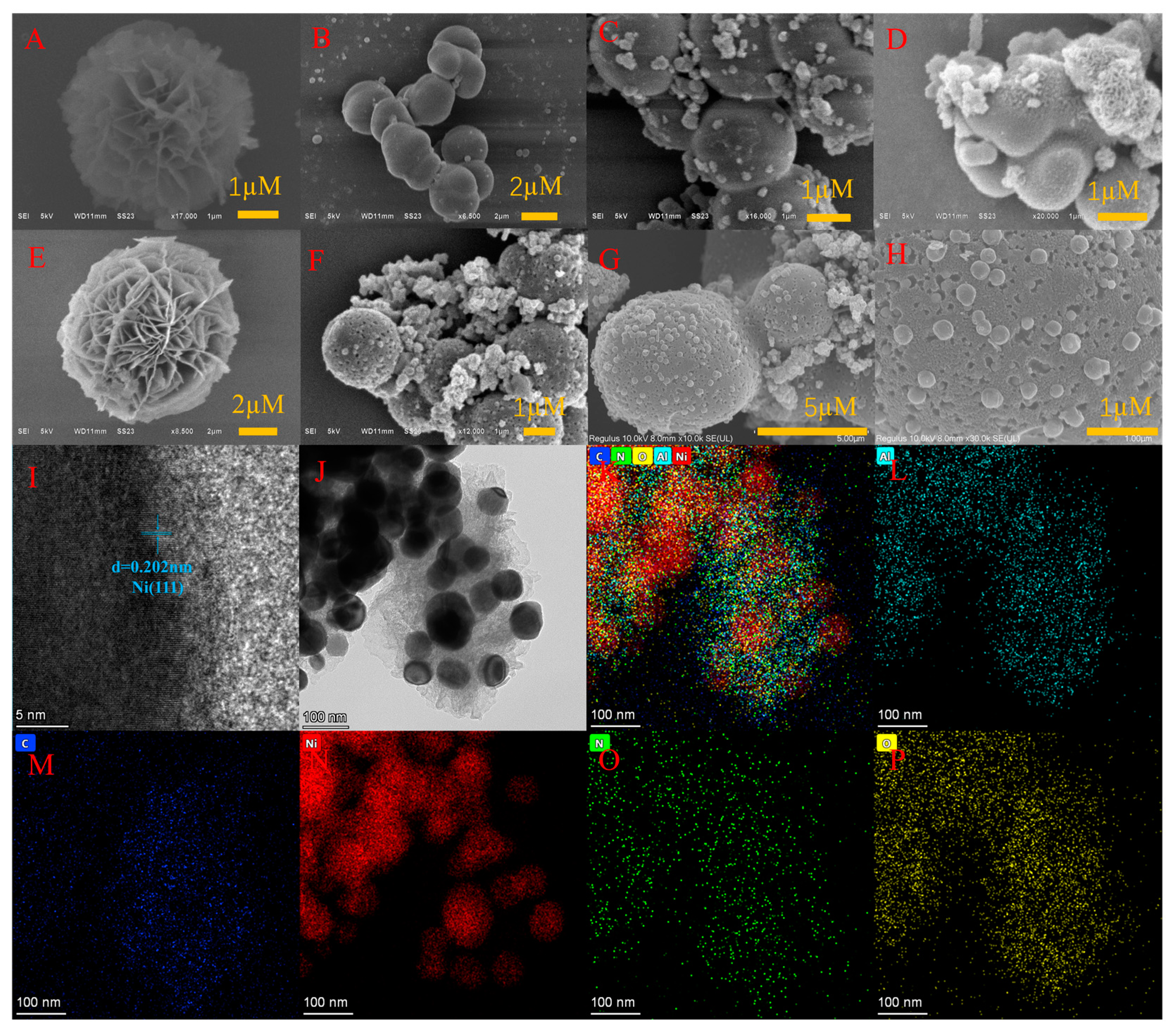 Preprints 137343 g001