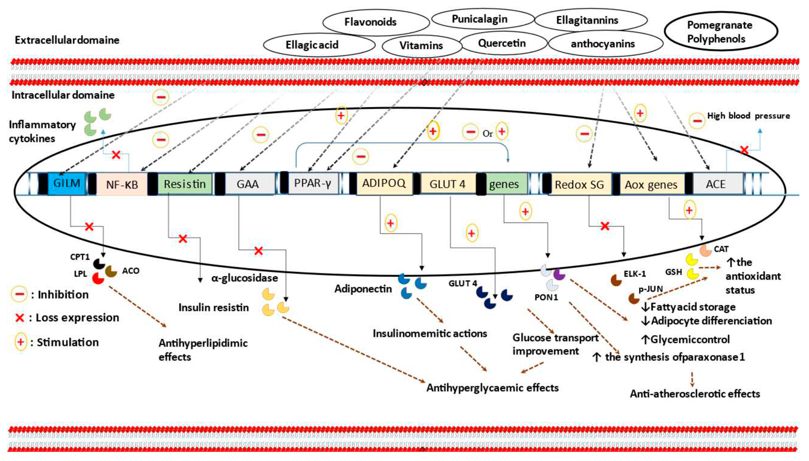 Preprints 86629 g001