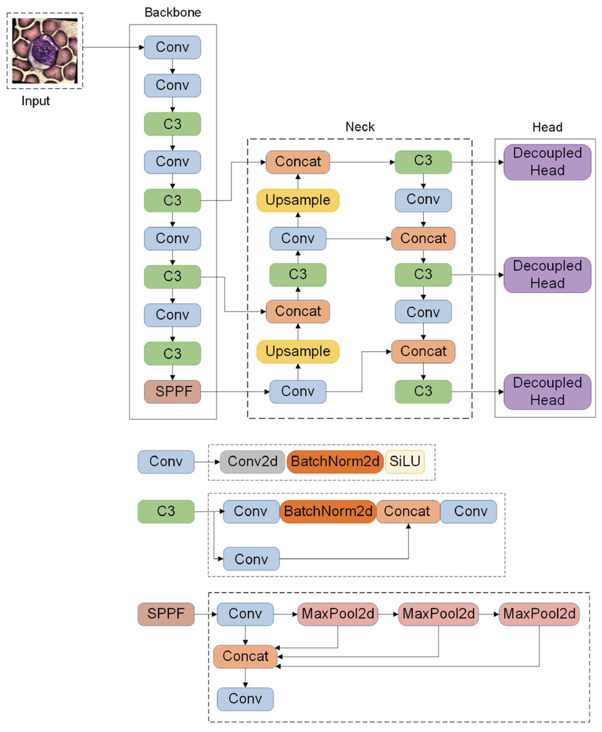 Preprints 137342 g001