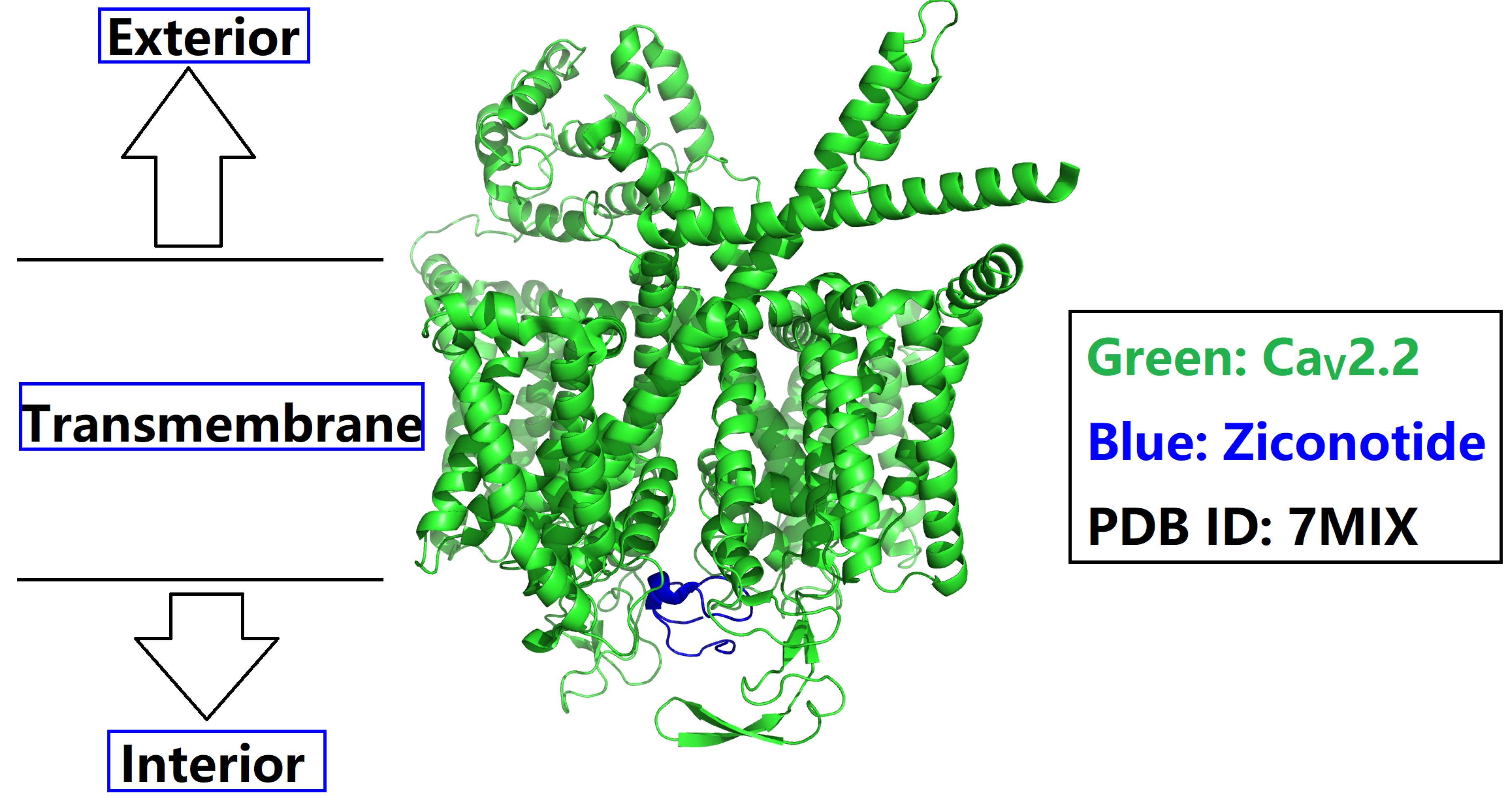 Preprints 117626 g001