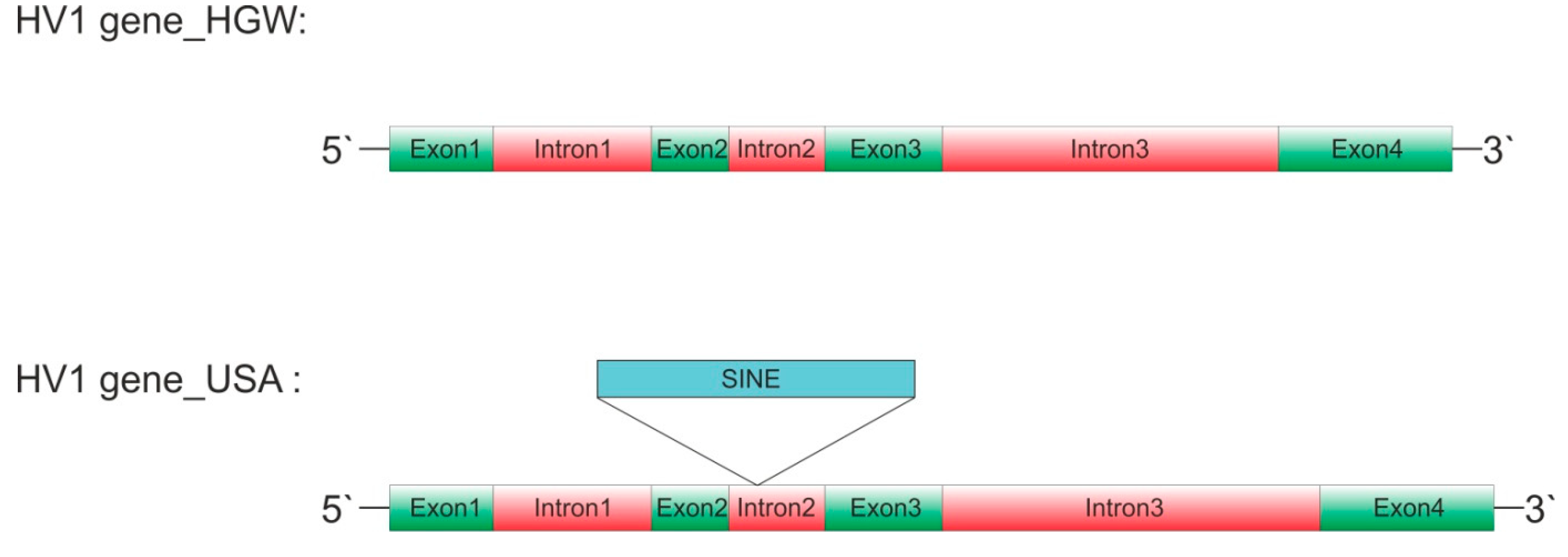 Preprints 114195 g001