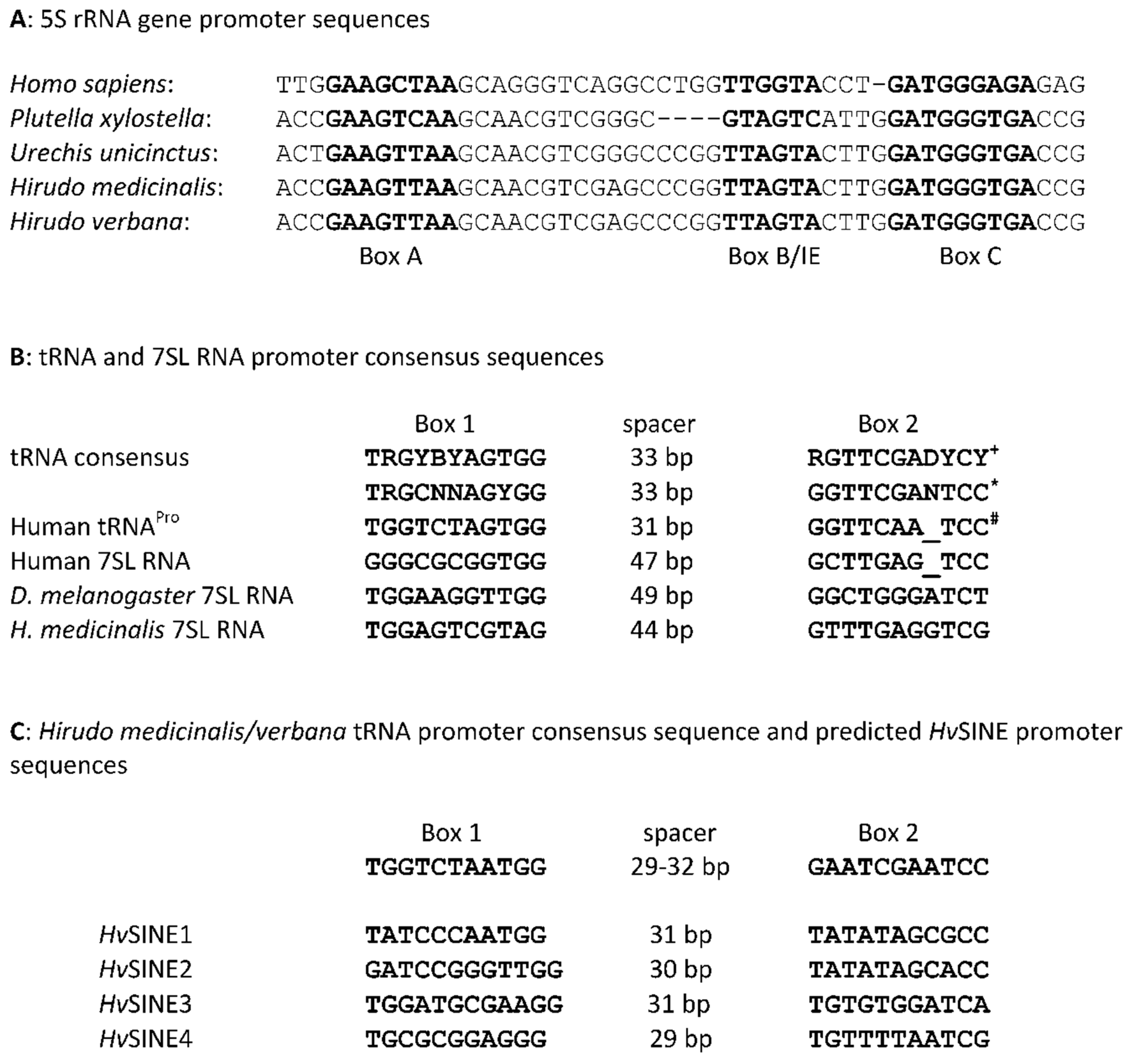 Preprints 114195 g002