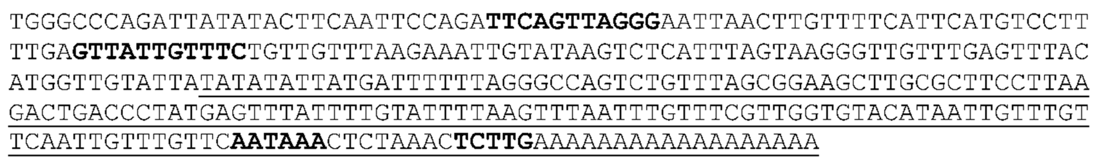 Preprints 114195 g005