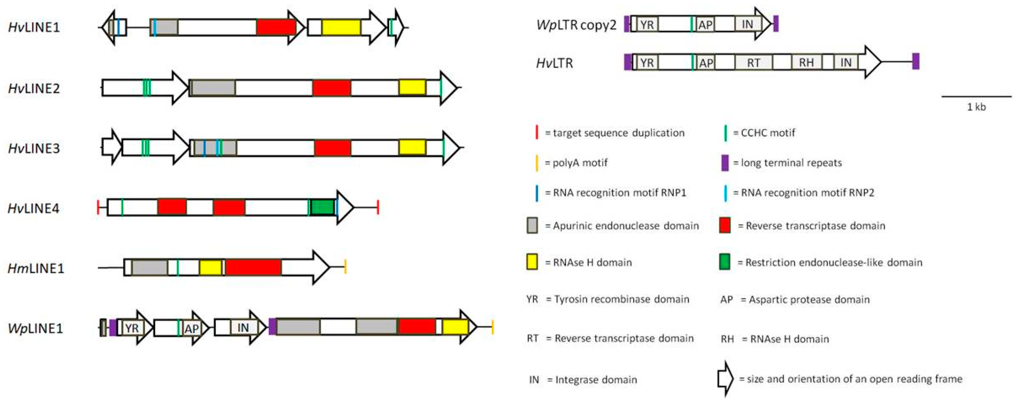 Preprints 114195 g006