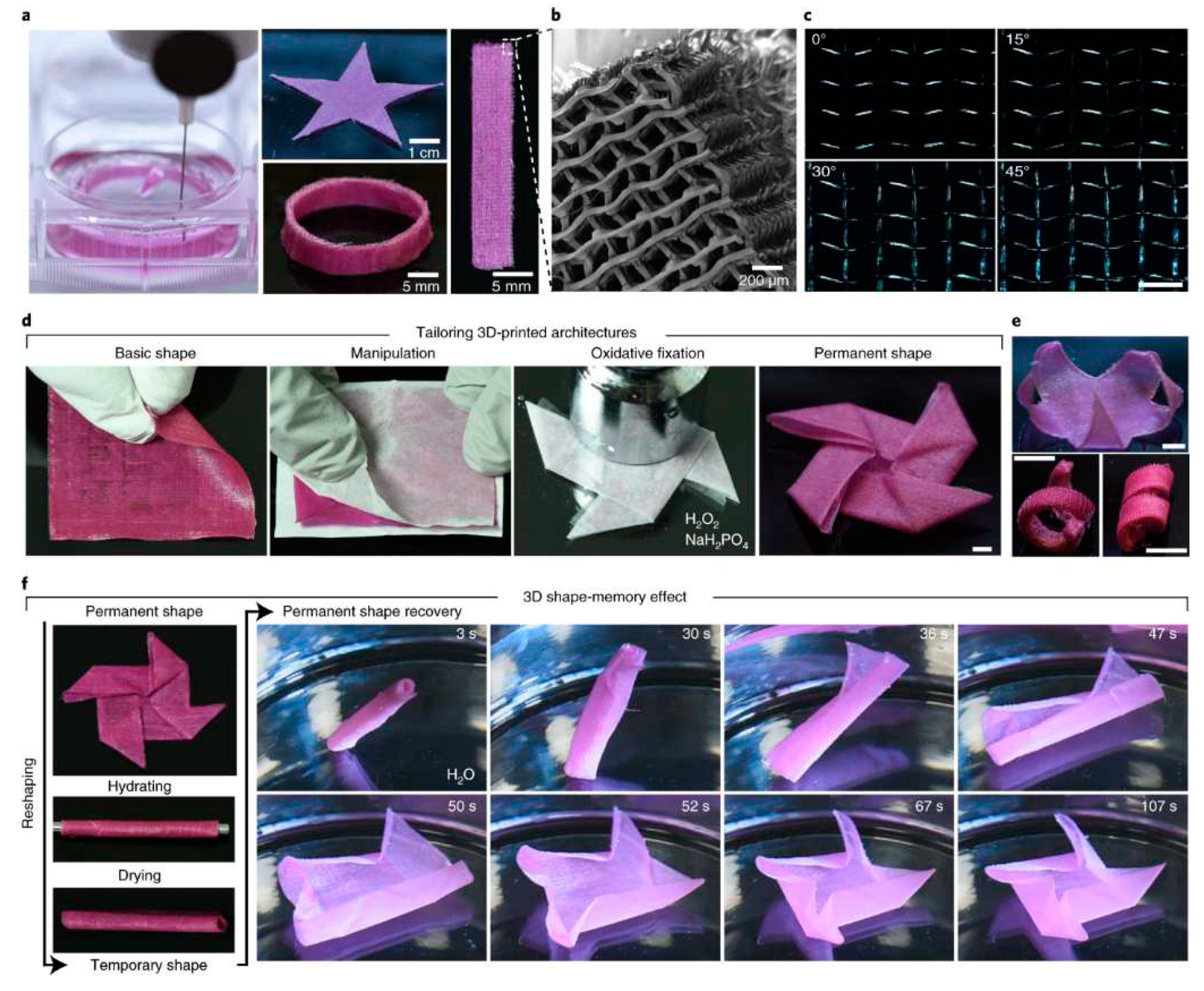 Preprints 84455 g011