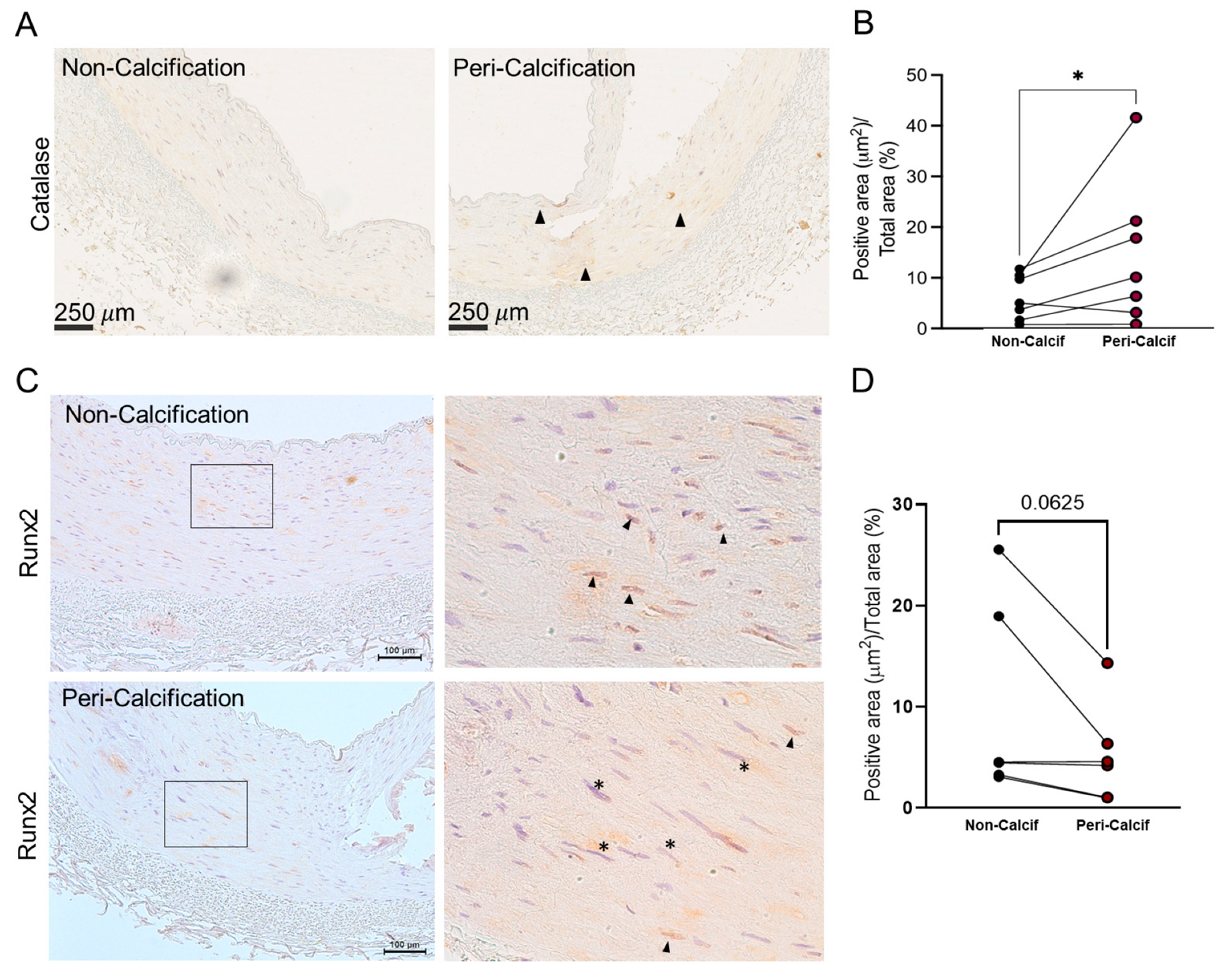 Preprints 80362 g001