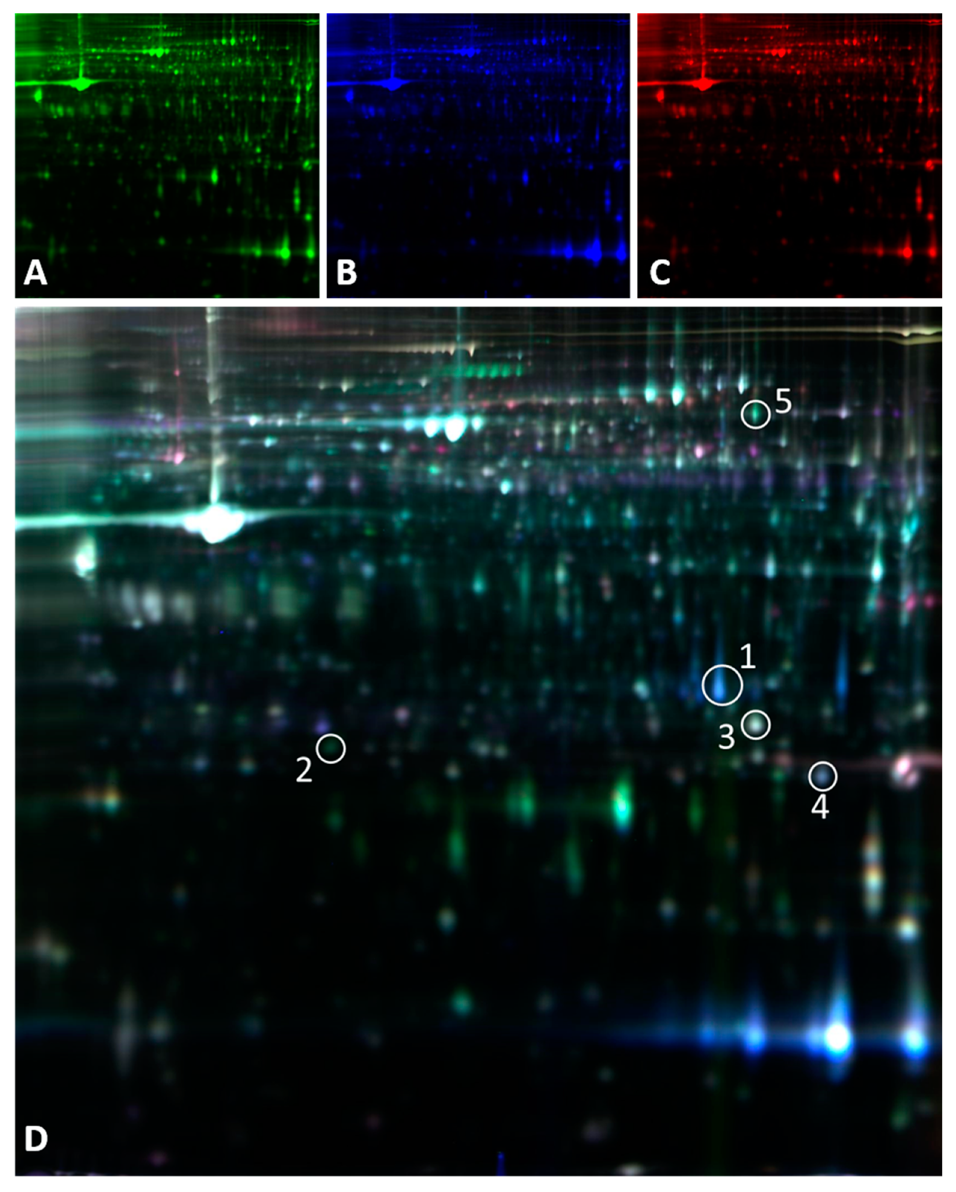 Preprints 80362 g002