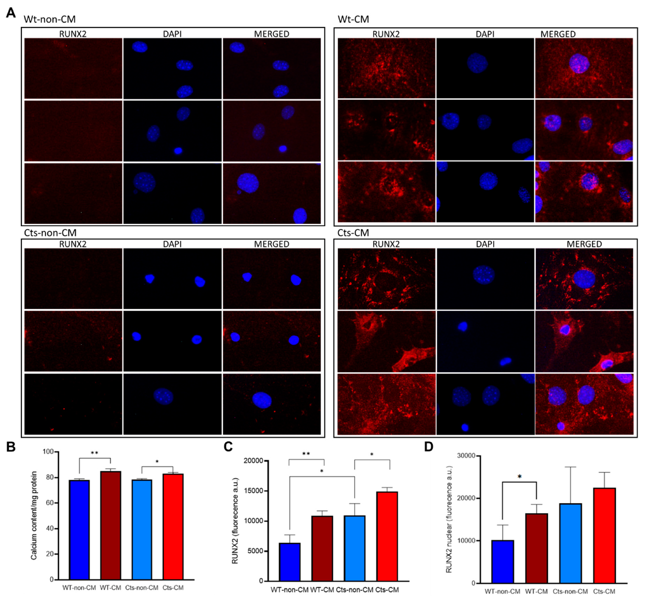 Preprints 80362 g003