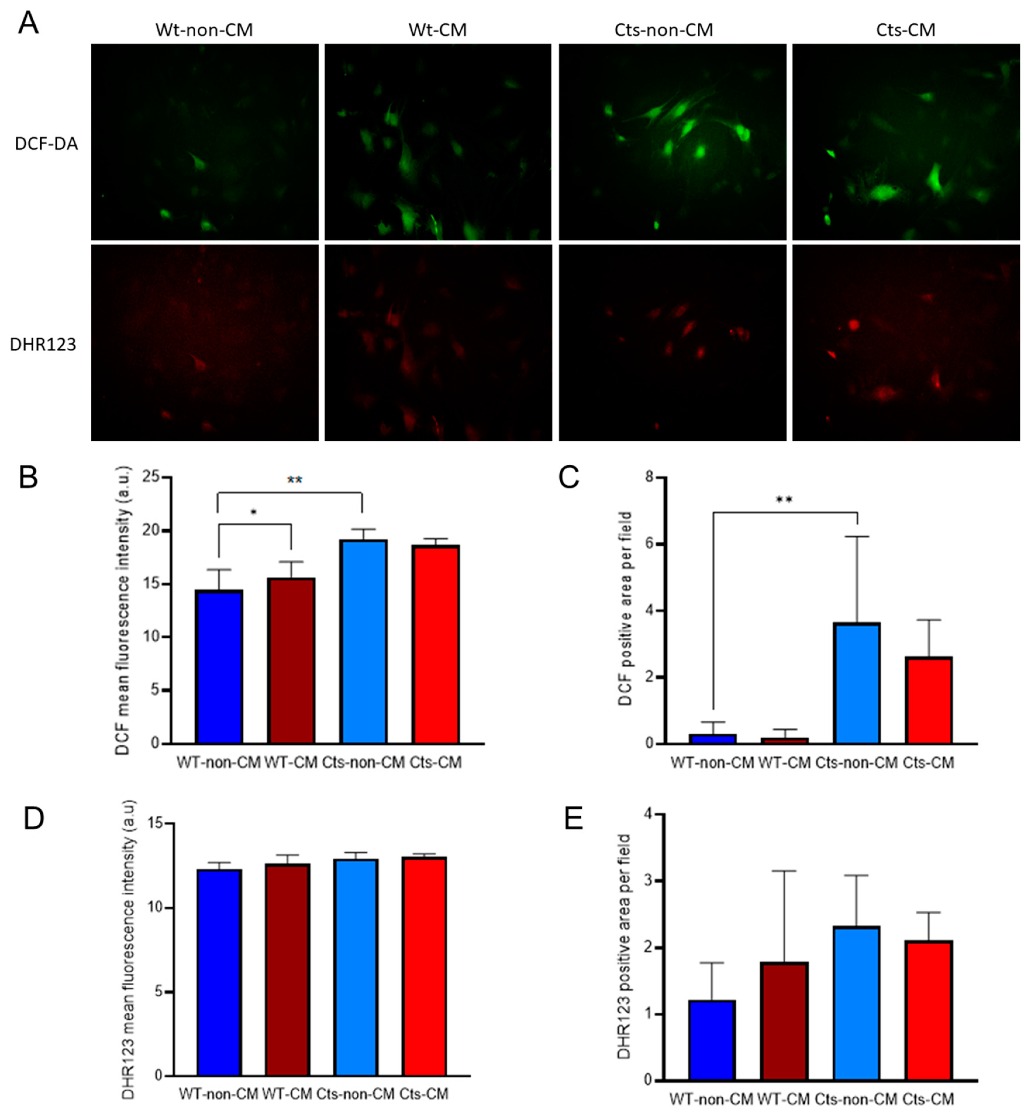 Preprints 80362 g004