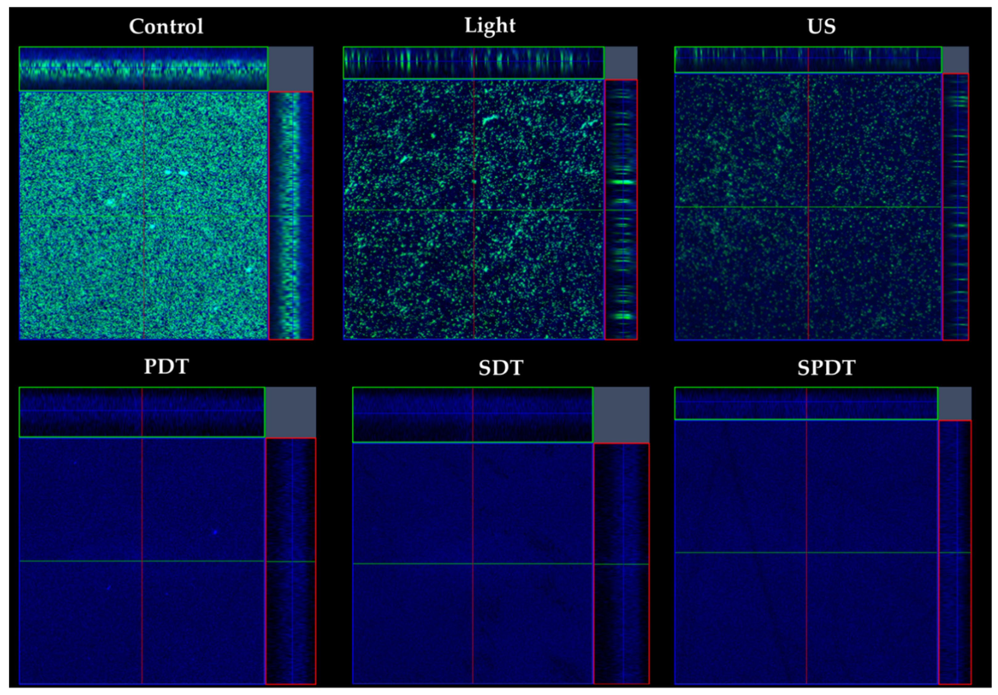 Preprints 76660 g004