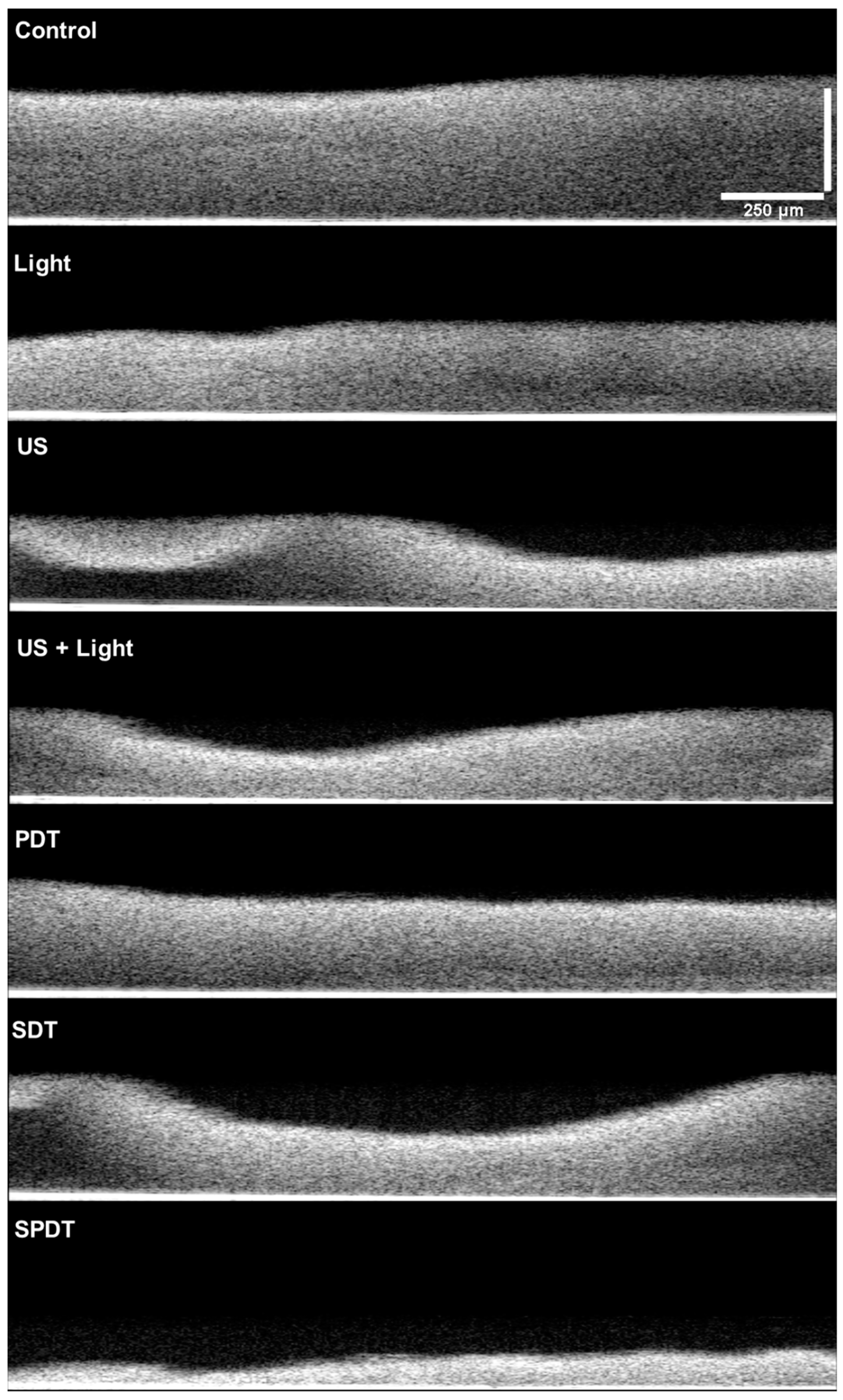 Preprints 76660 g005