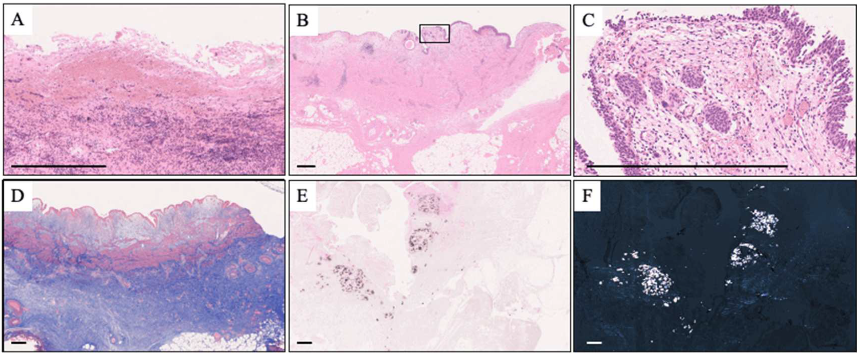 Preprints 89917 g002