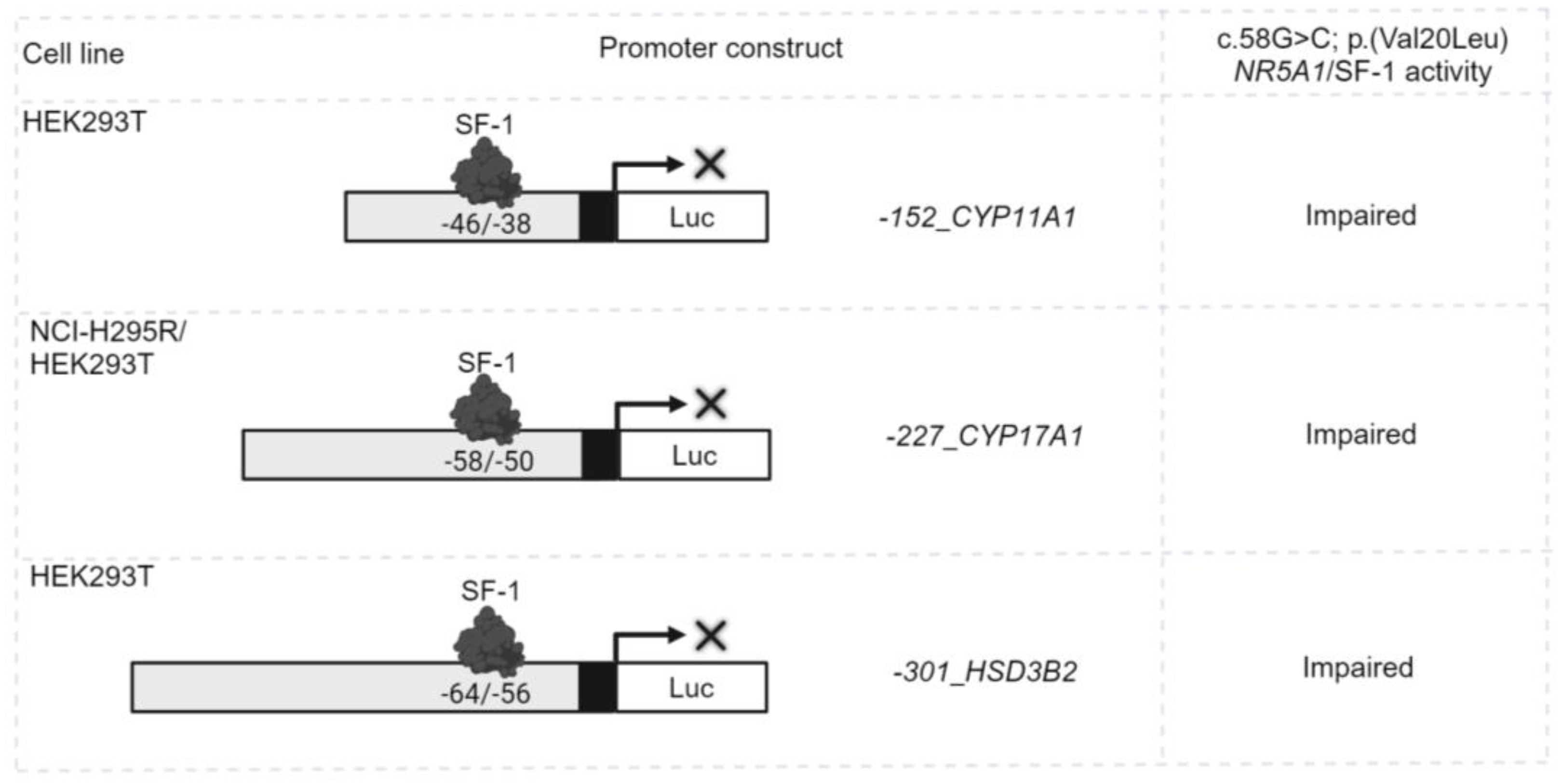 Preprints 114916 g001