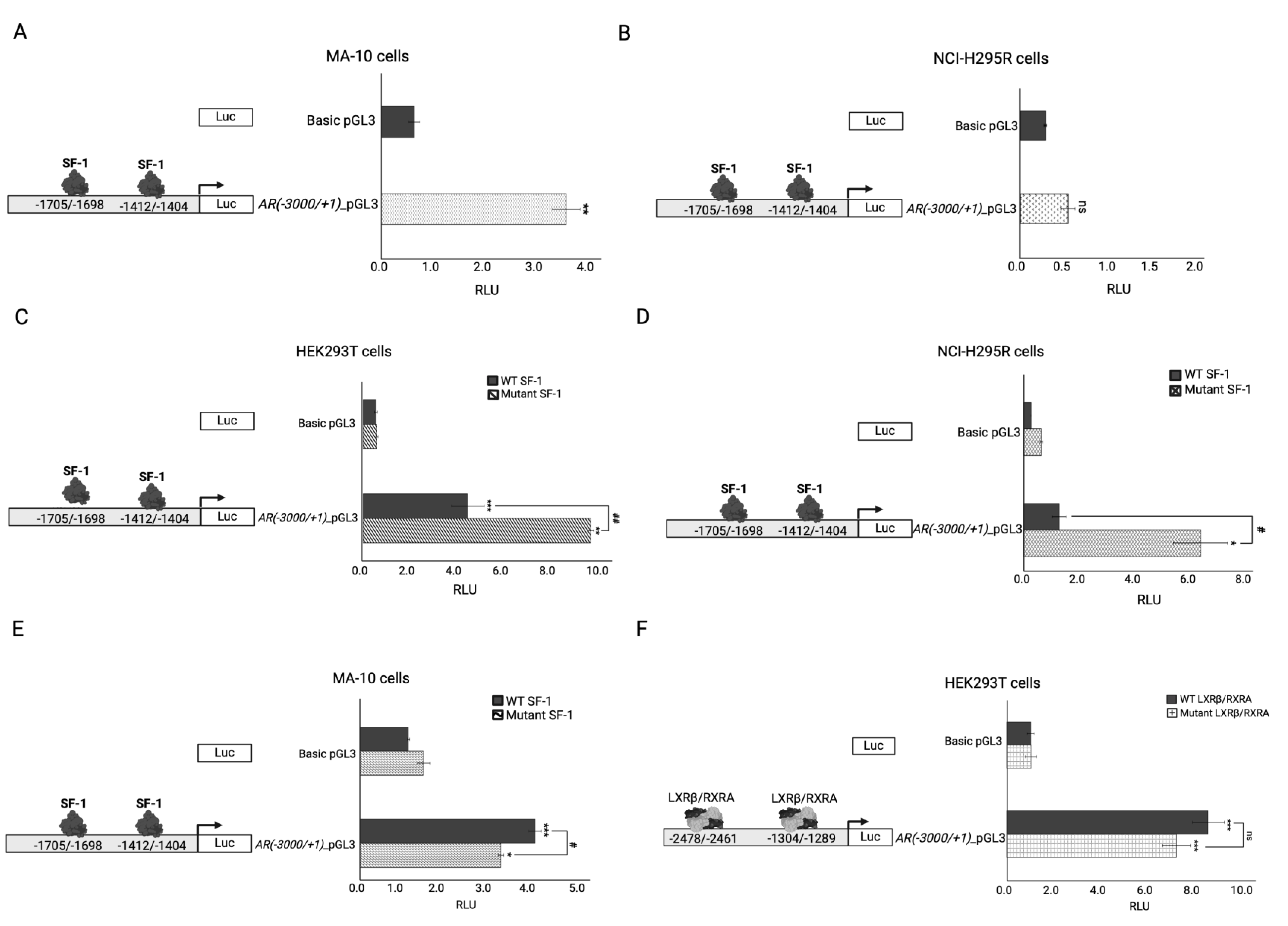 Preprints 114916 g003