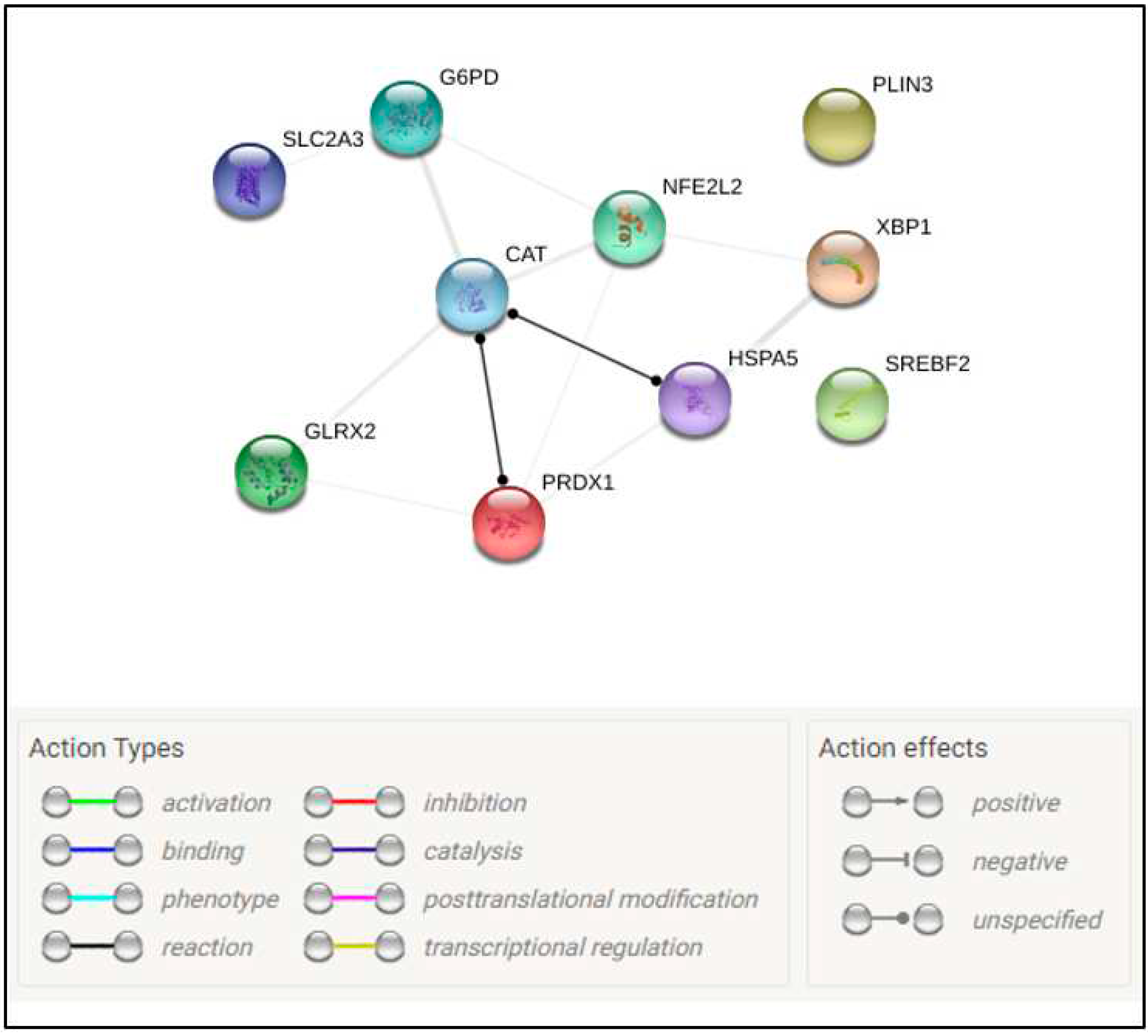 Preprints 80291 g005