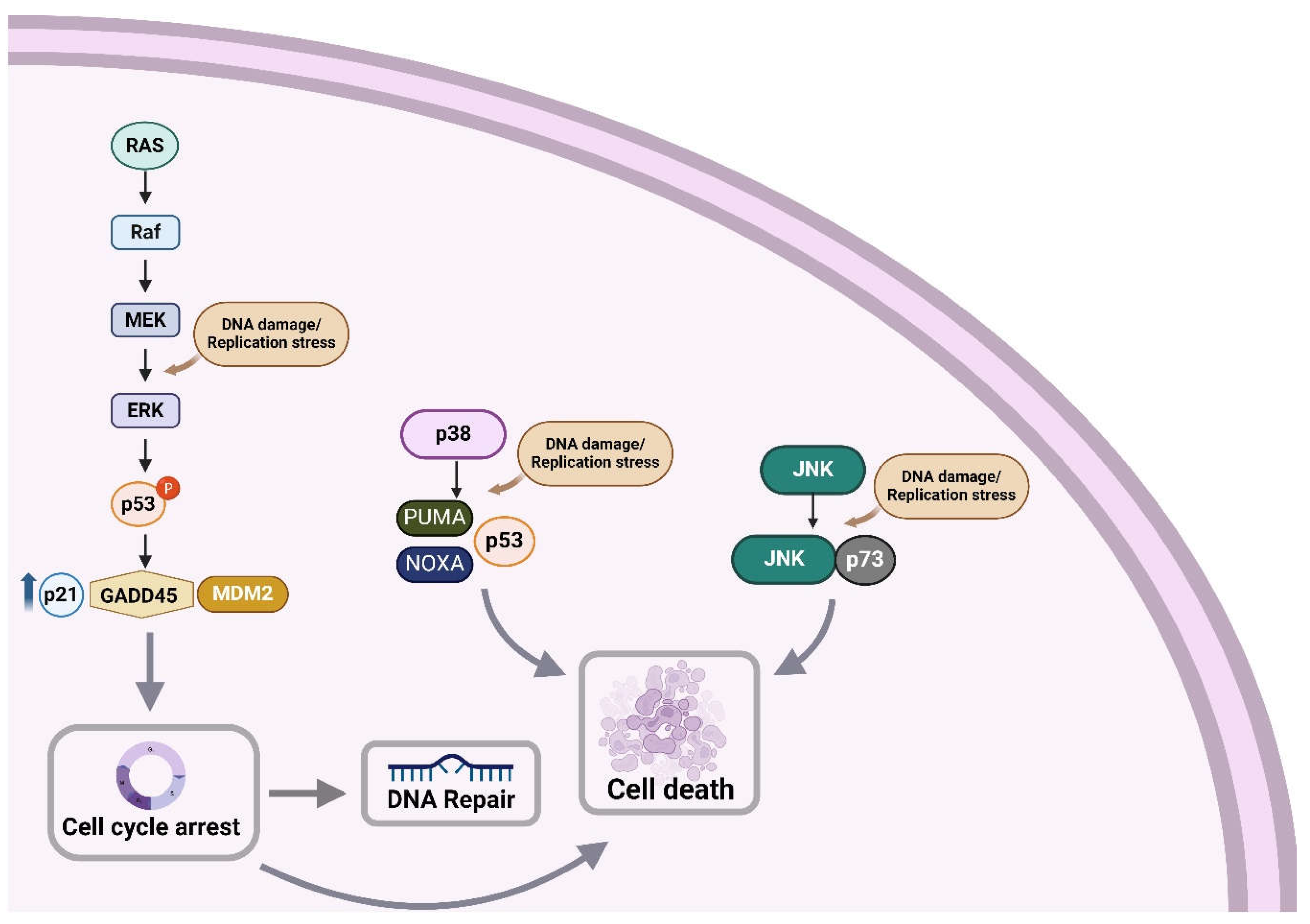 Preprints 106363 g002