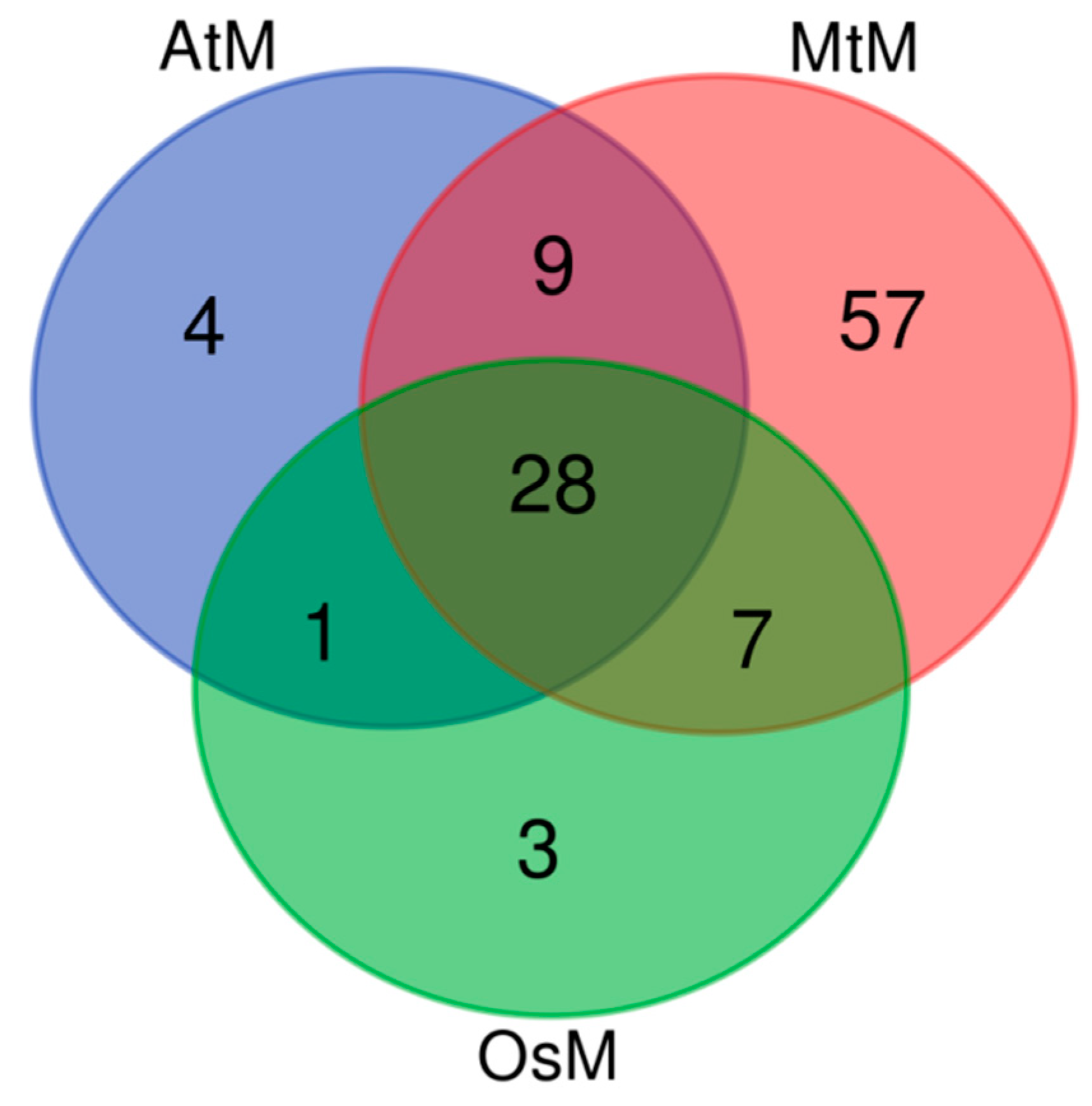 Preprints 82288 g005